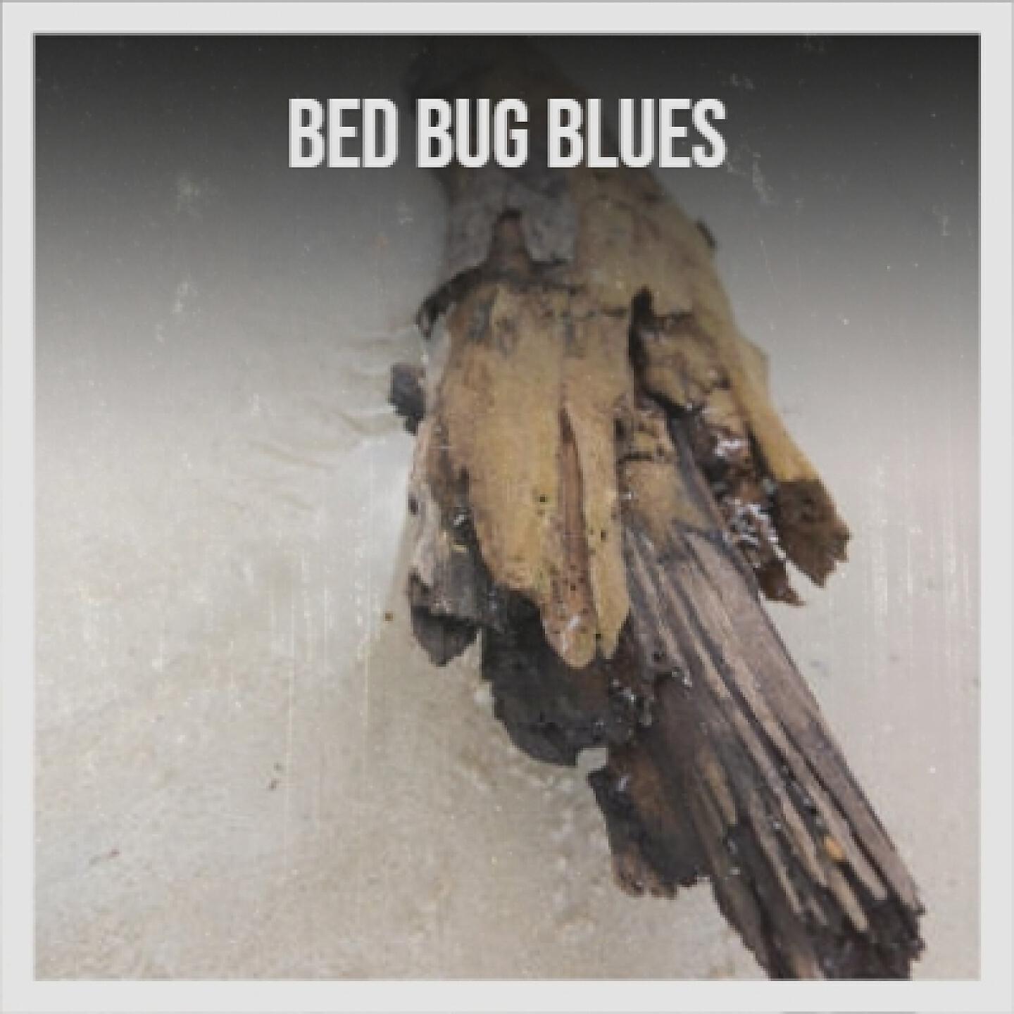 Релиз Bed Bug Blues