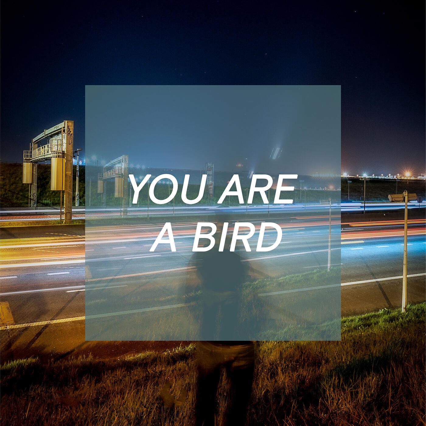 Релиз You Are a Bird