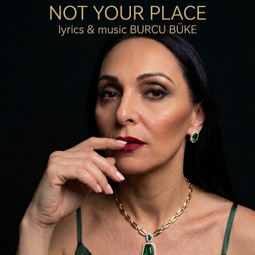 Релиз Not Your Place
