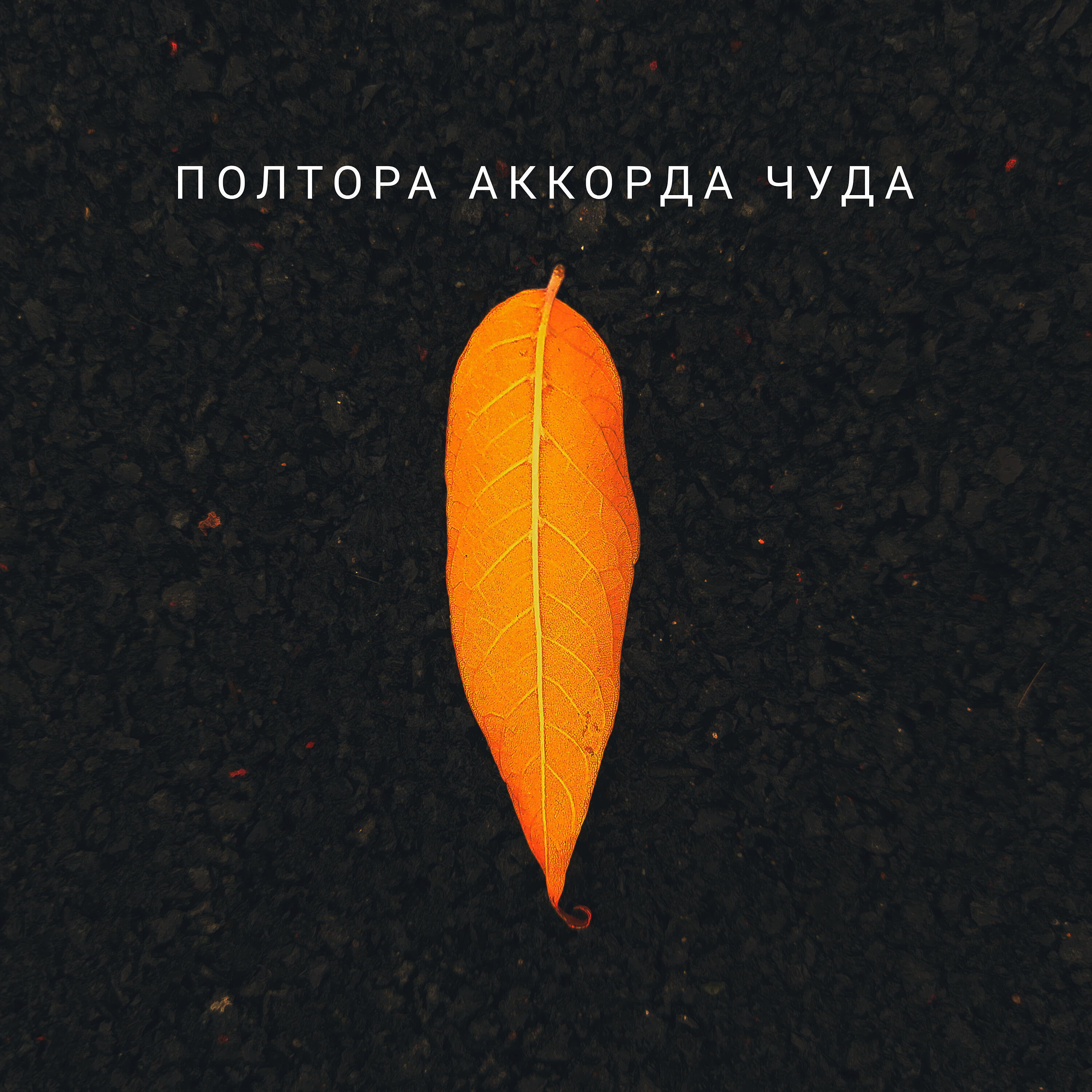 Релиз Полтора аккорда чуда