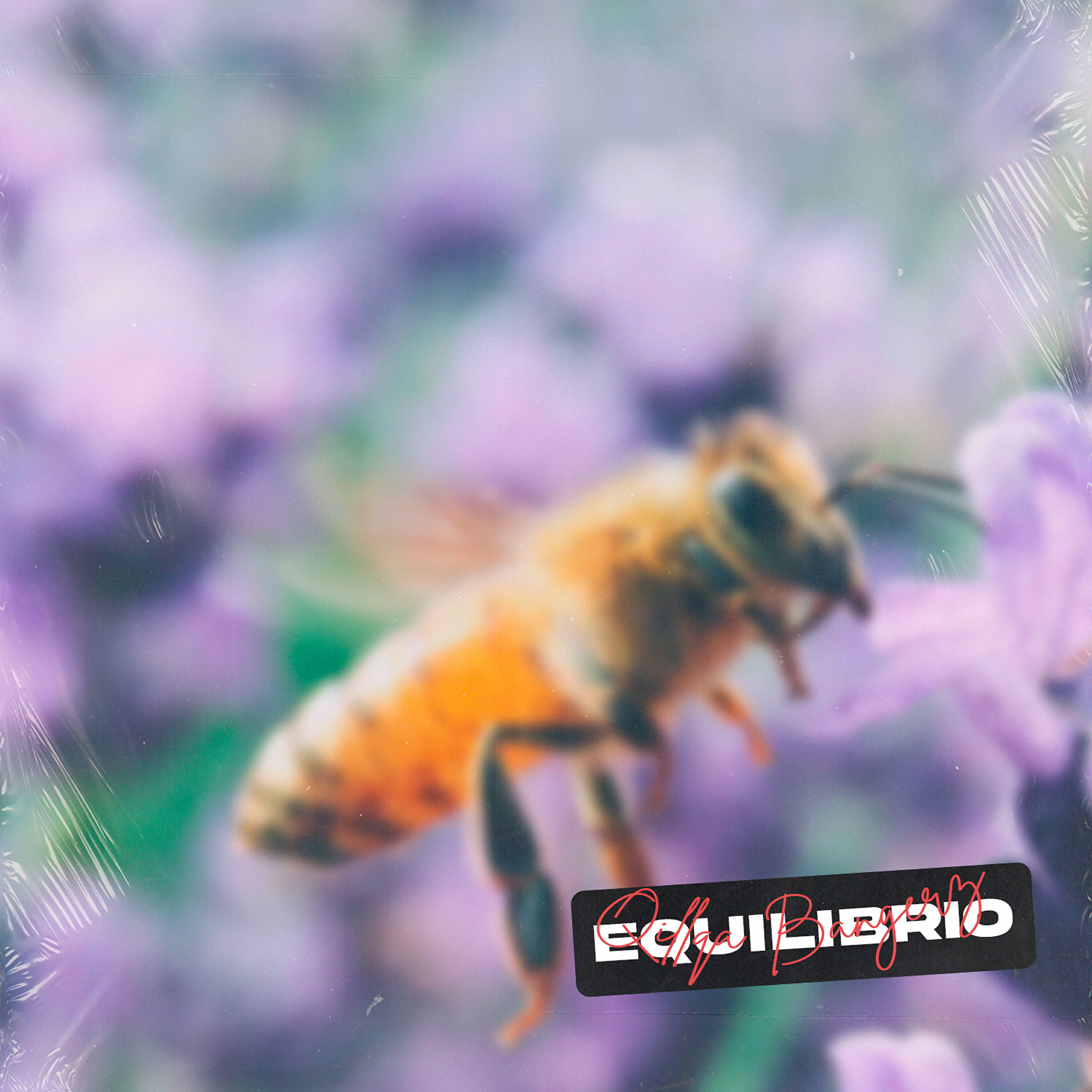 Релиз Equilibrio