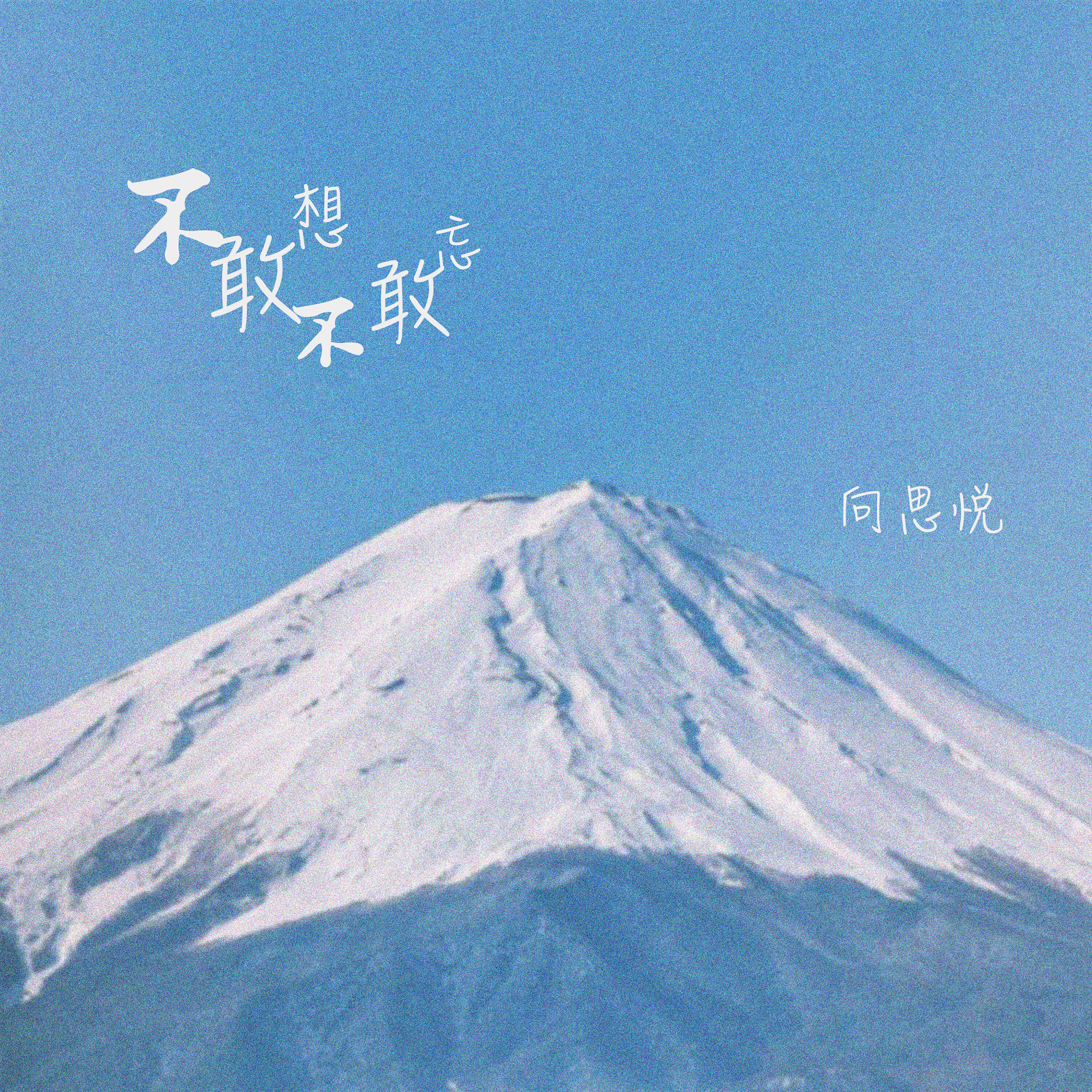 Релиз 不敢想不敢忘