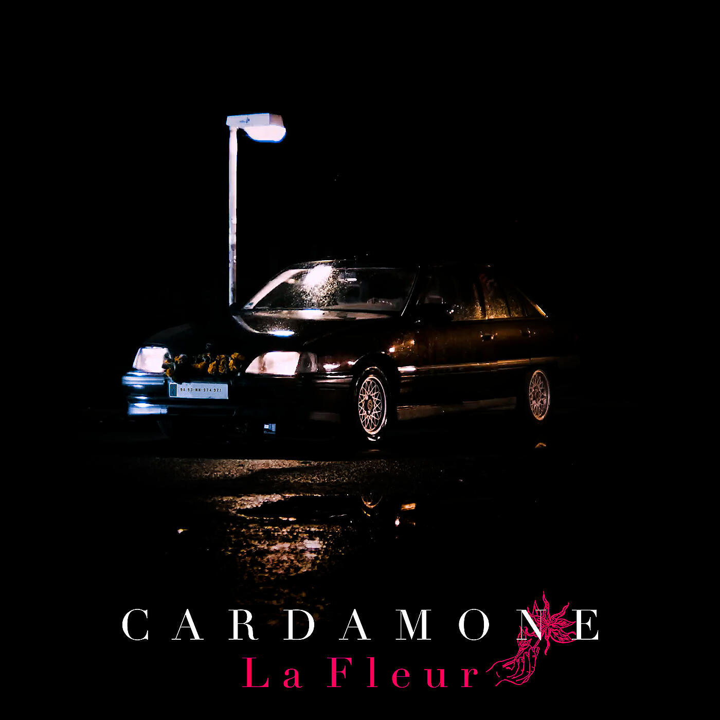 Релиз Cardamone