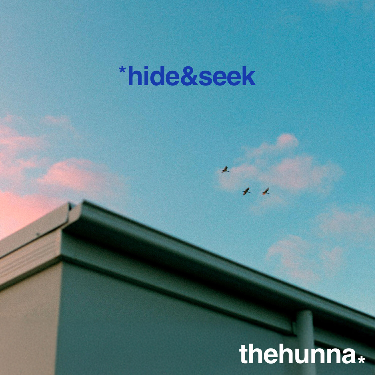 Постер альбома Hide & Seek