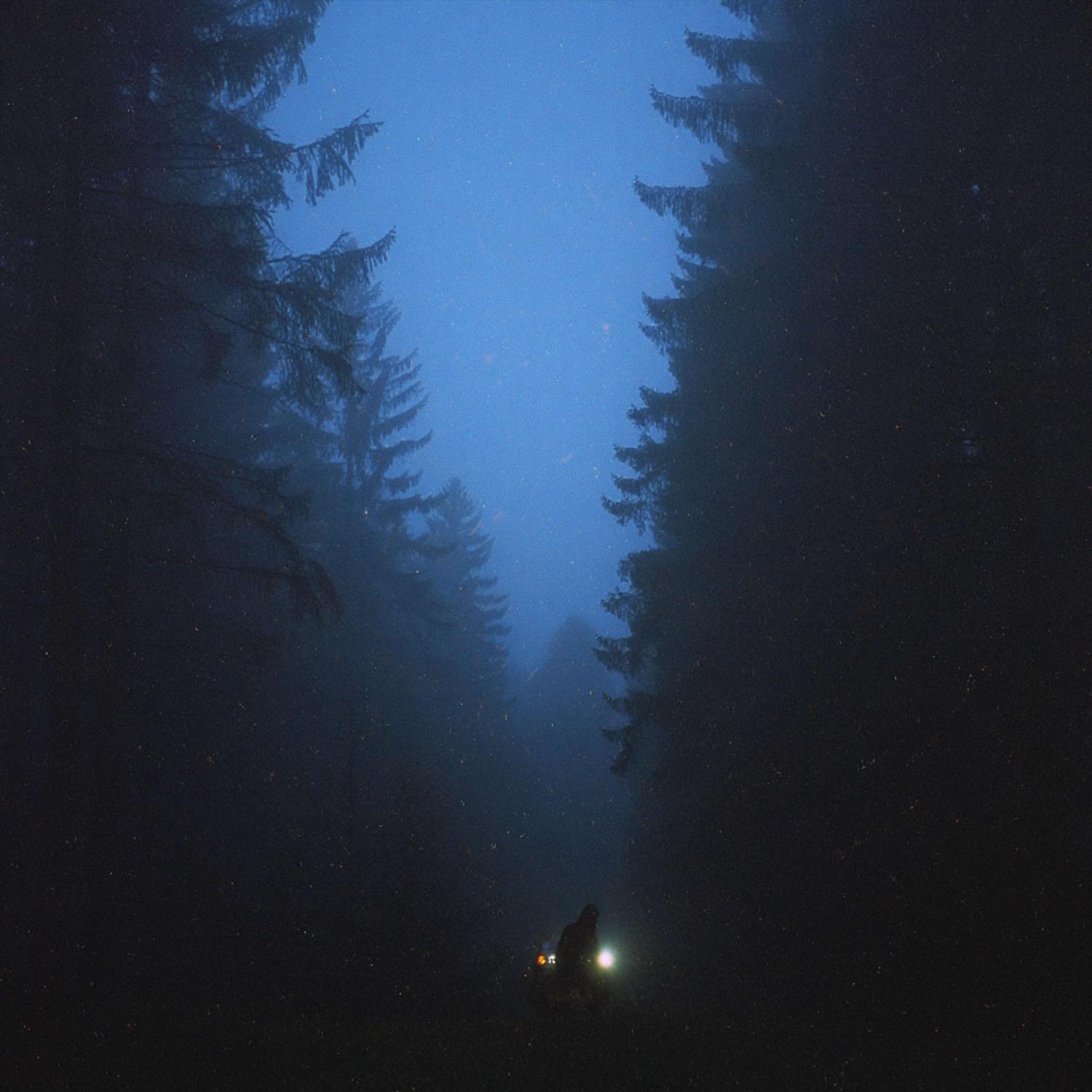 Релиз stray
