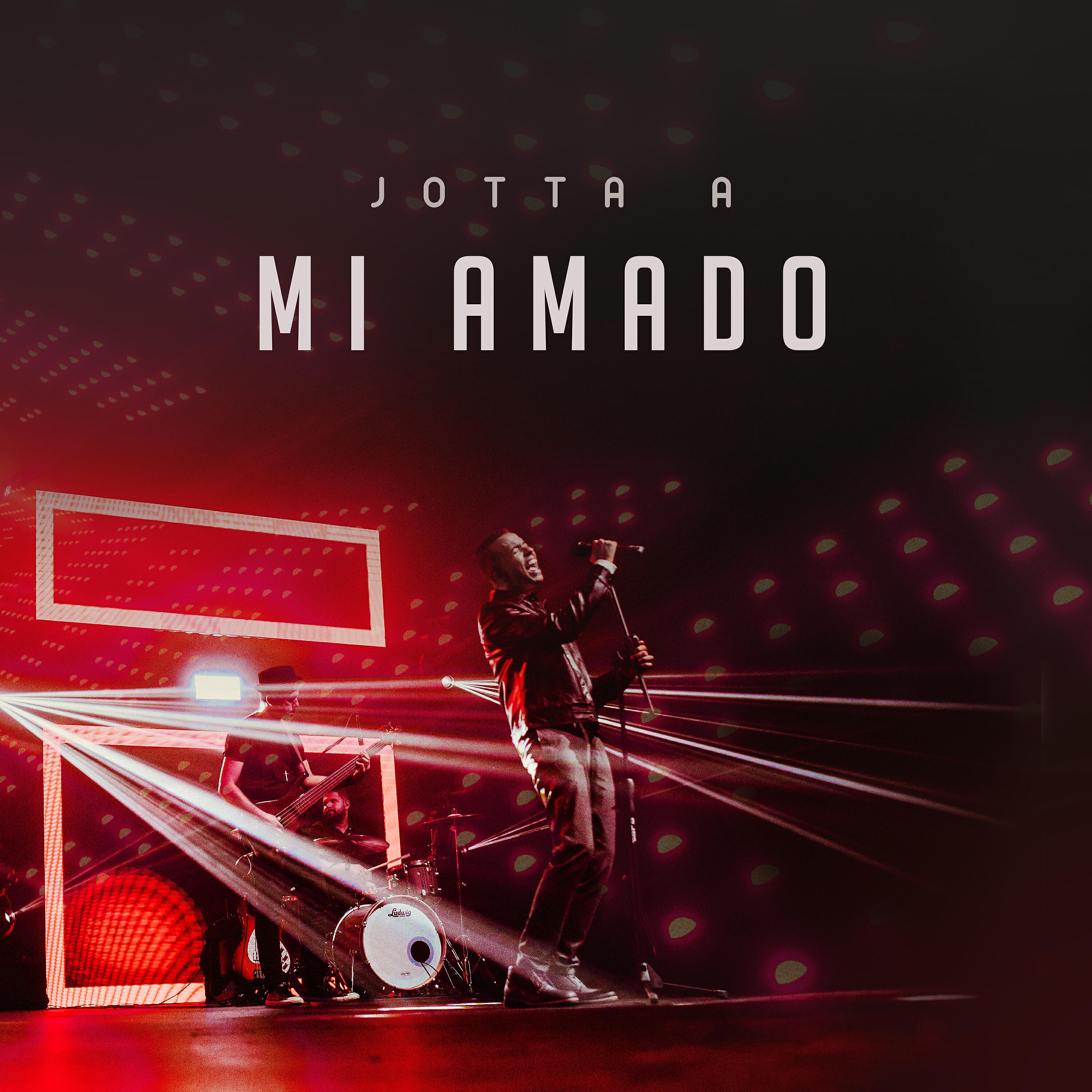 Релиз Mi Amado