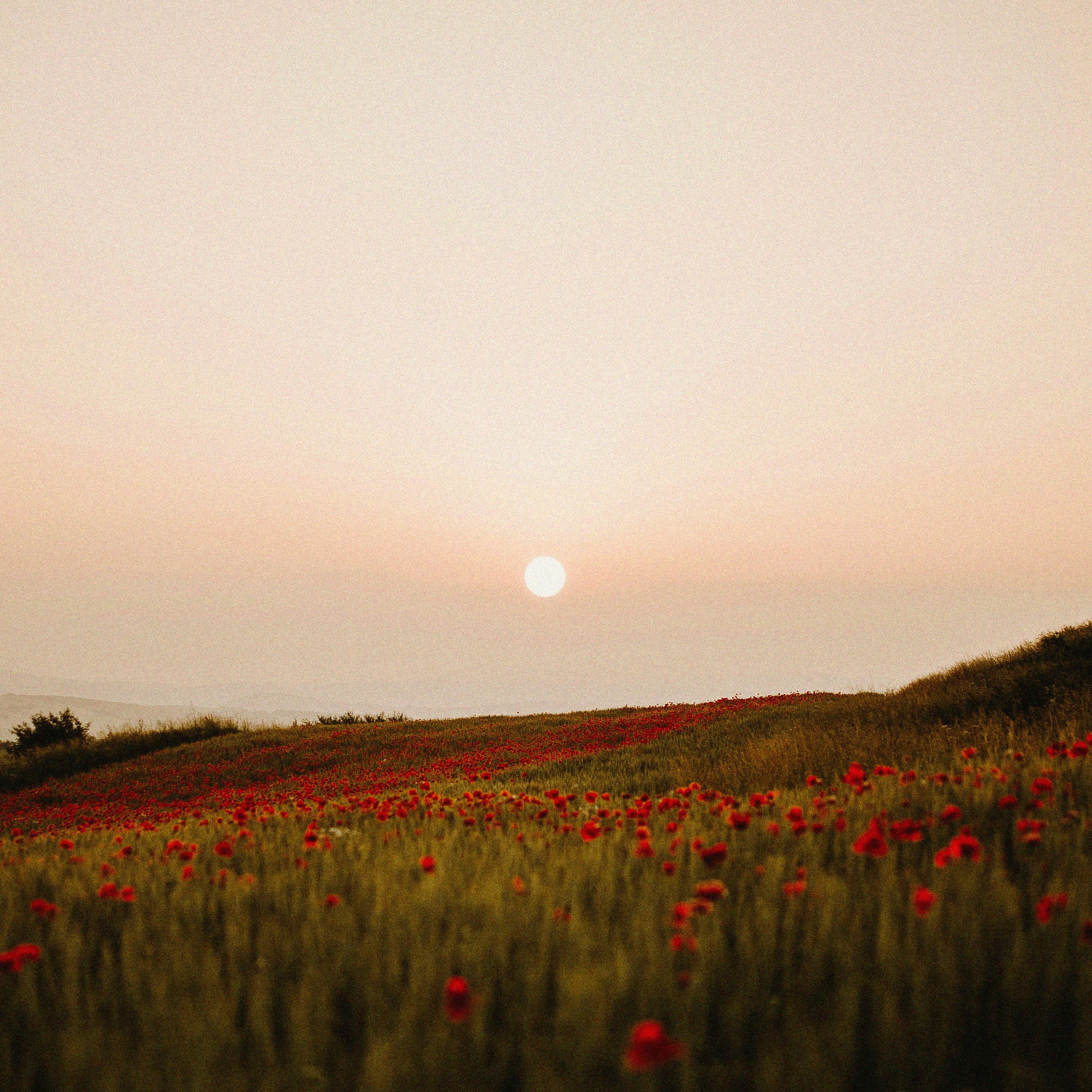Релиз slow mornings