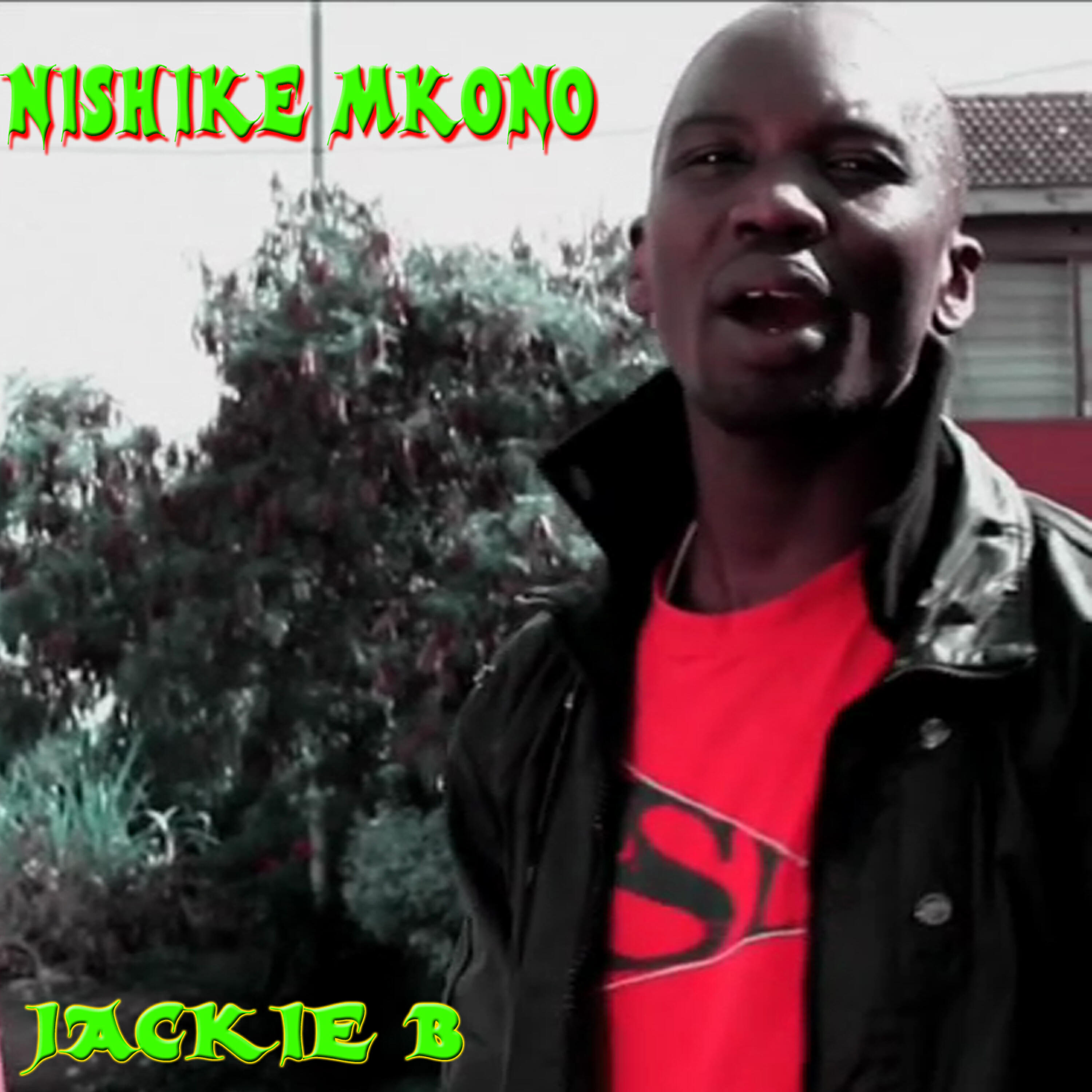 Релиз Nishike Mkono - Single