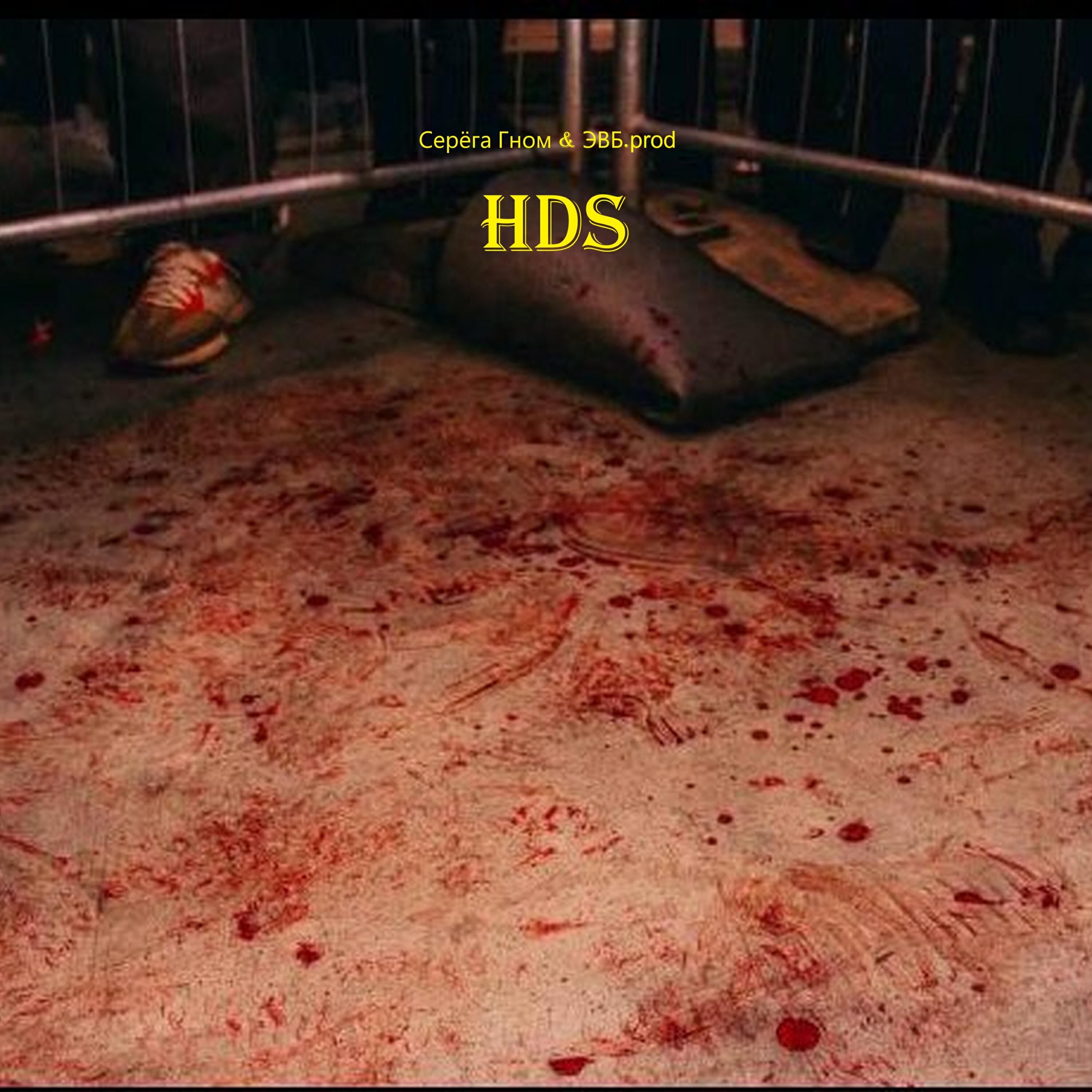 Релиз HDS