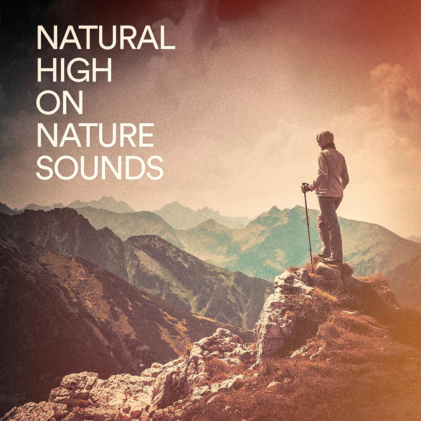Релиз Natural High on Nature Sounds