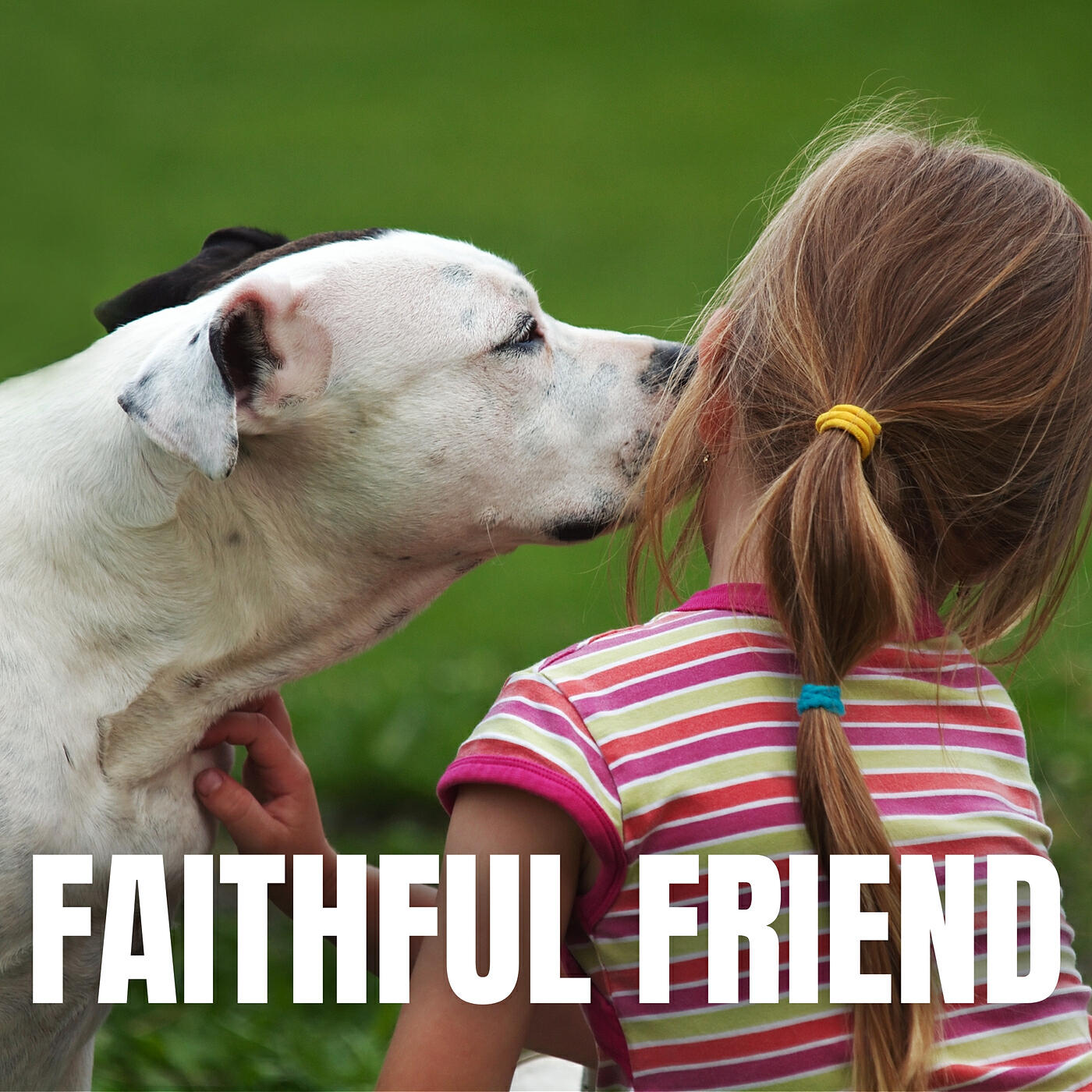 Релиз Faithful Friend
