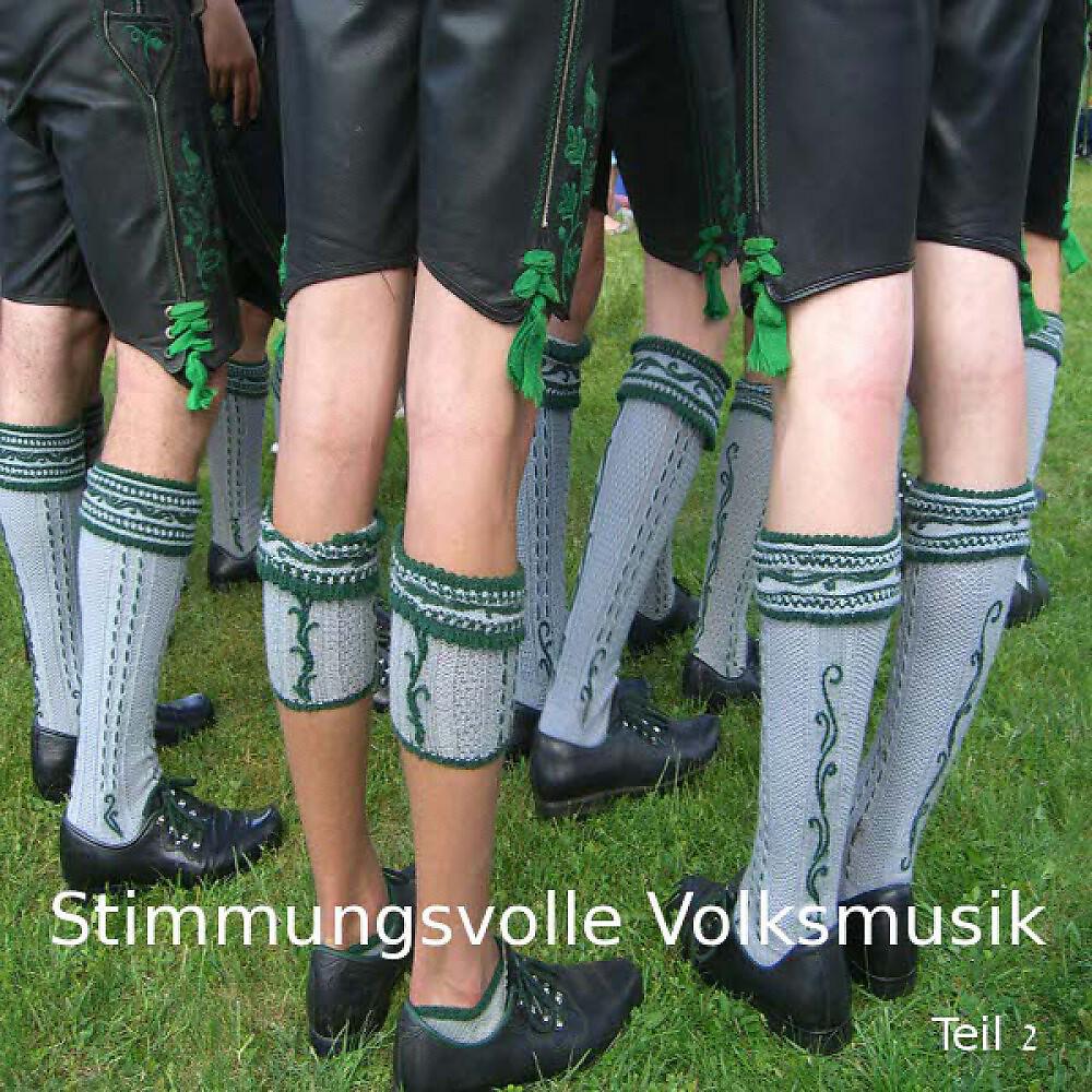 Постер альбома Stimmungsvolle Volksmusik - Teil 2