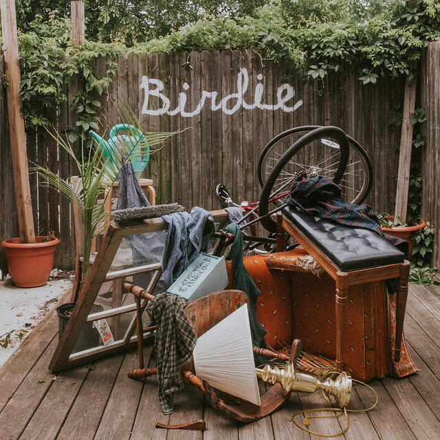 Релиз Birdie