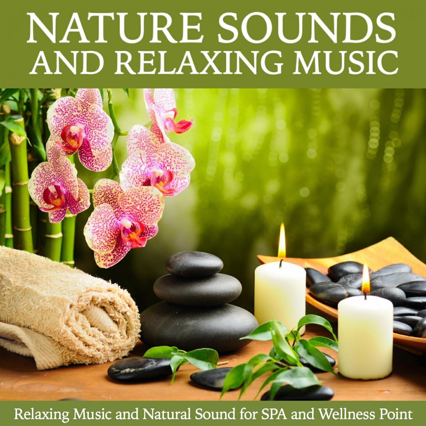 Релиз Nature Sound and Music Relaxation