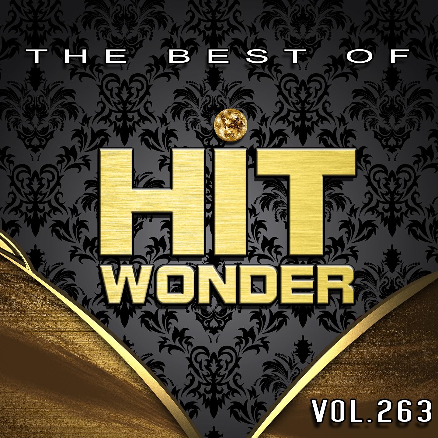 Постер альбома Hit Wonder: The Best of, Vol. 263
