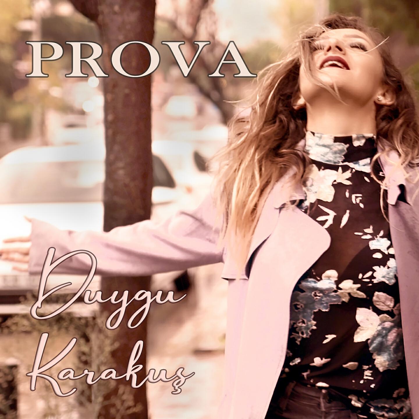 Релиз Prova
