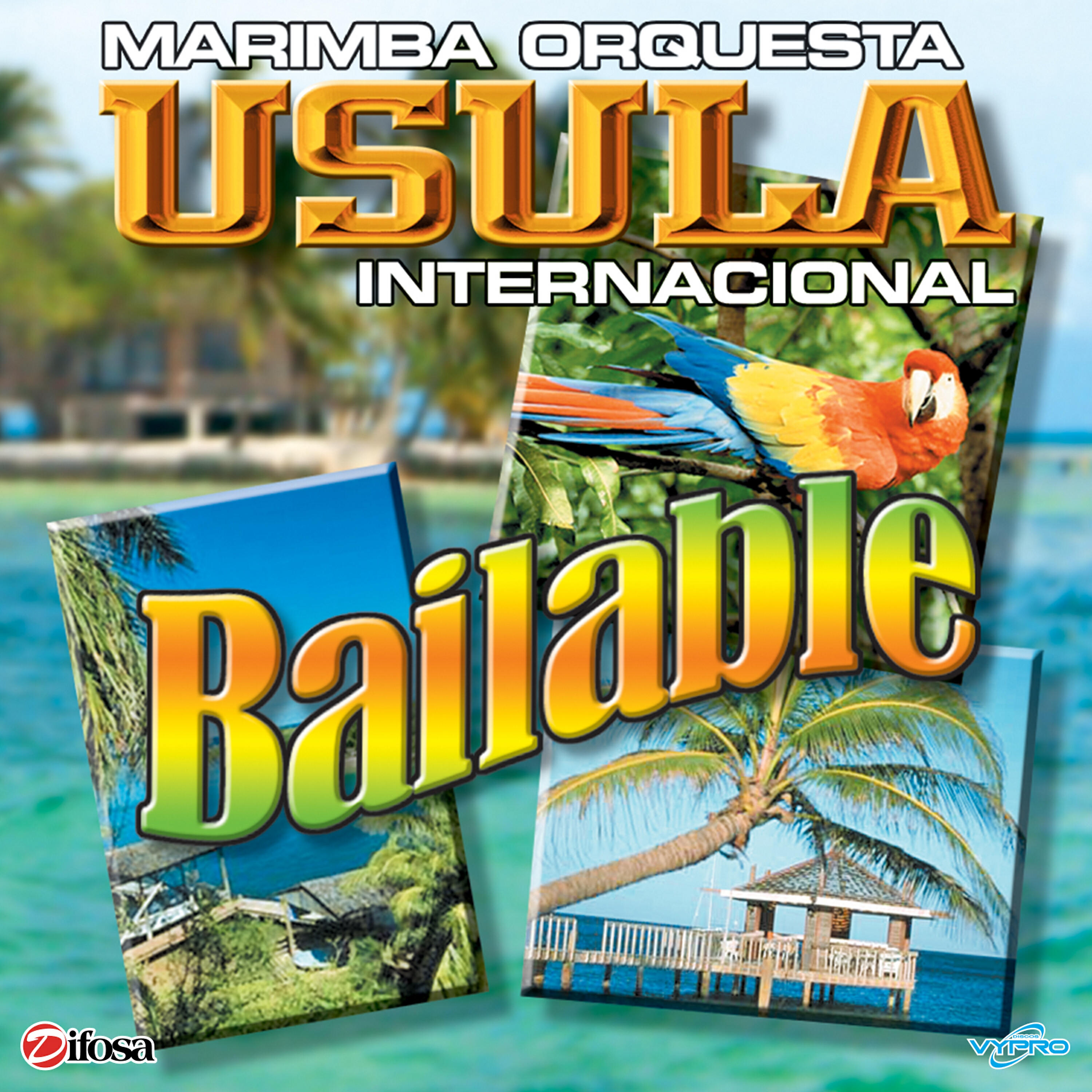 Marimba Orquesta Usula Internacional