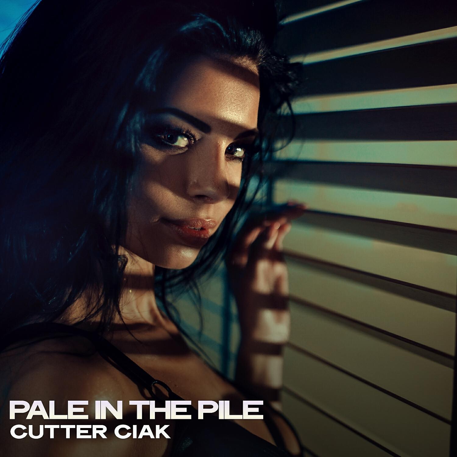 Постер альбома Pale in the Pile