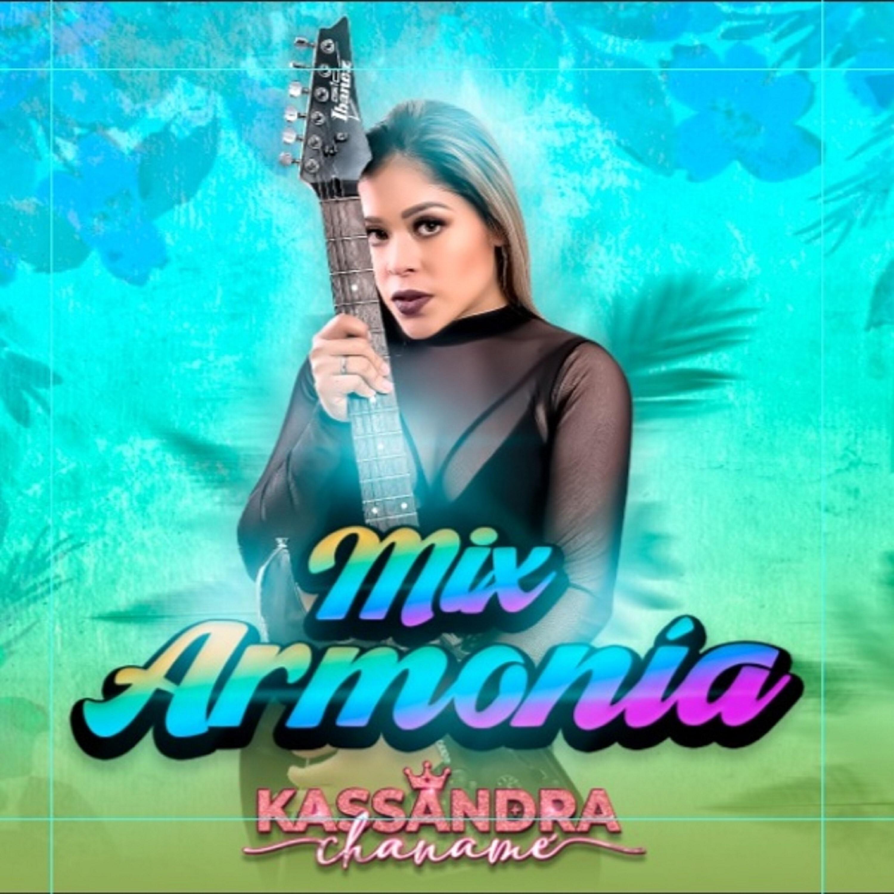 Постер альбома Mix Armonia (Veneno para Olvidar/Lágrima por Lágrima)