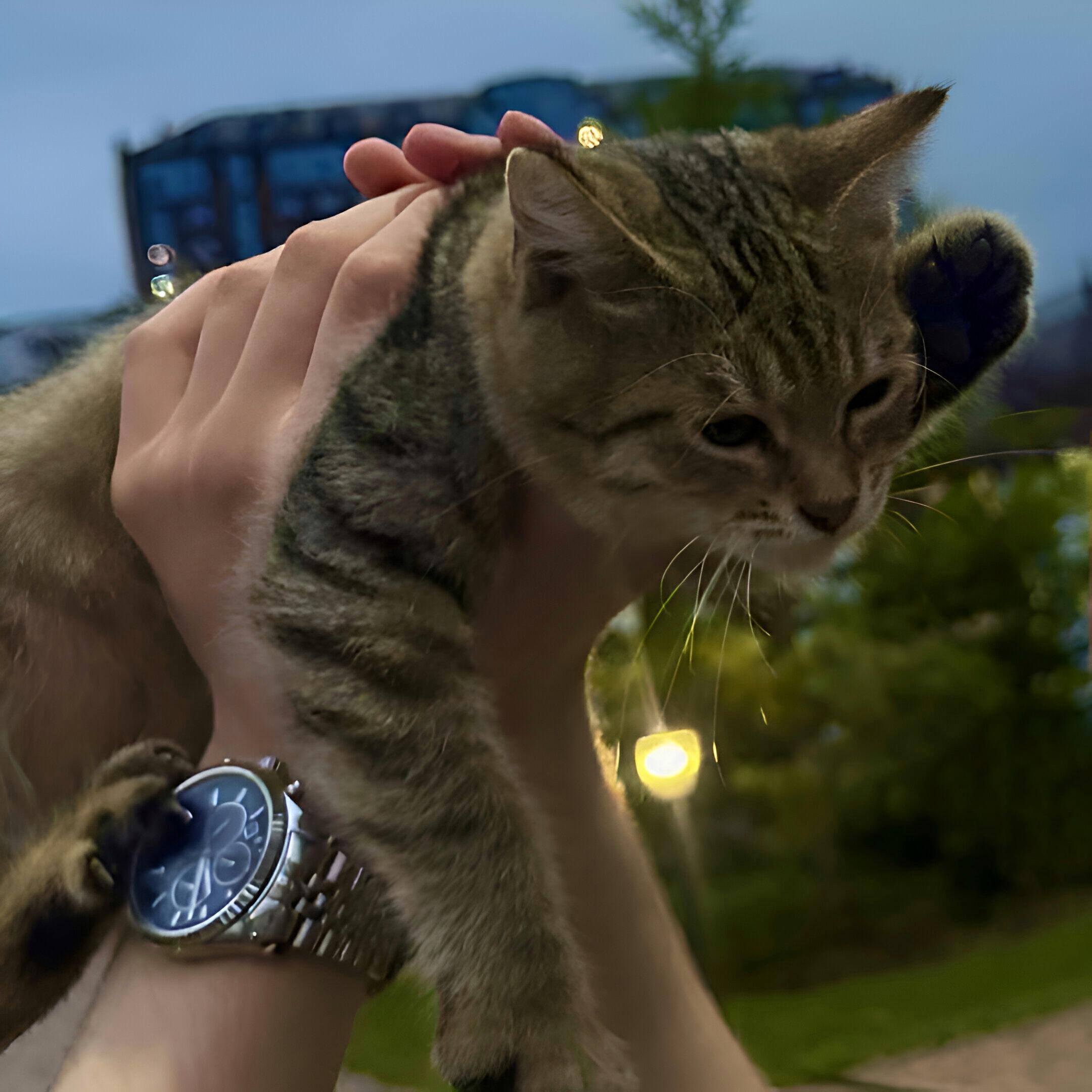 Релиз Расстояние