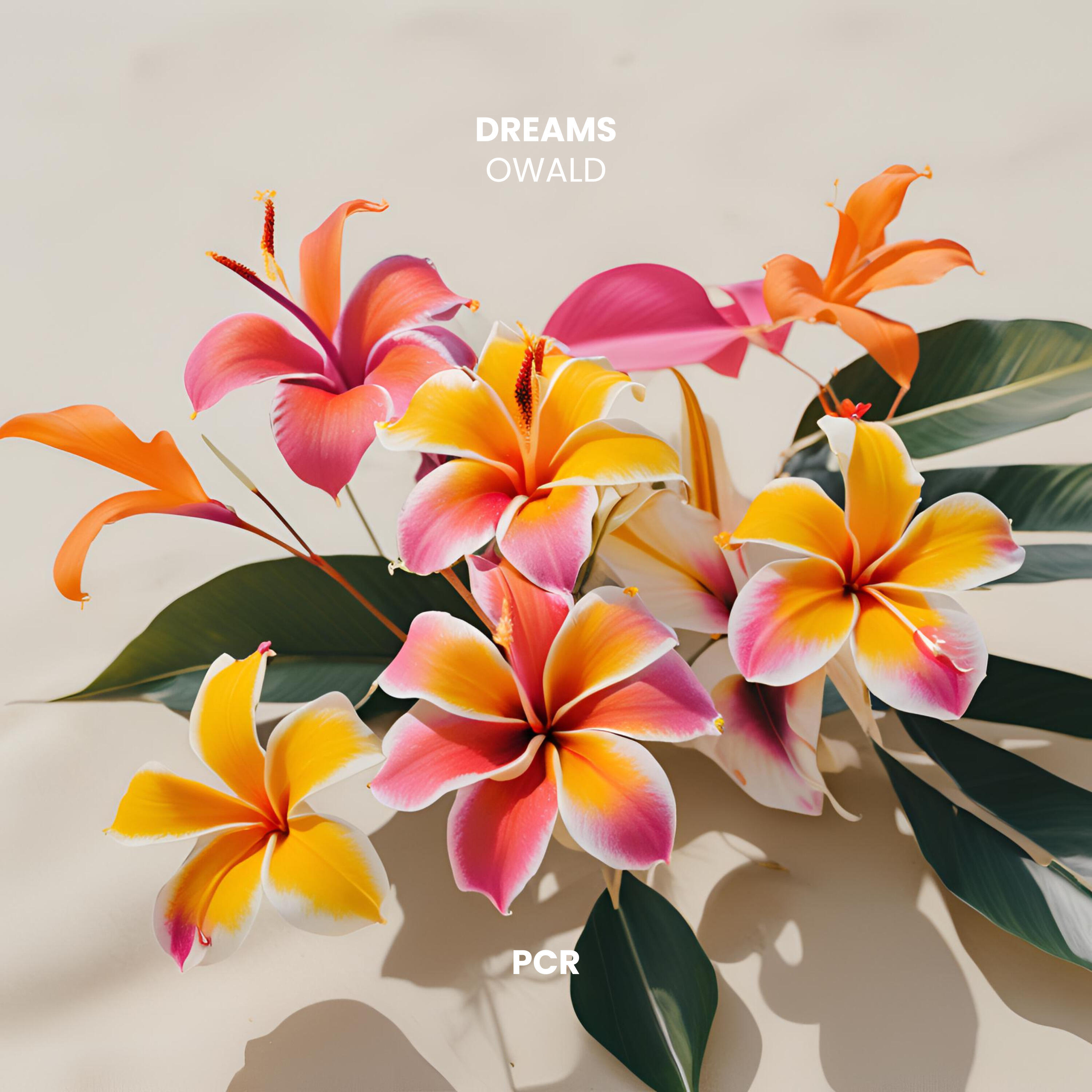 Релиз Dreams