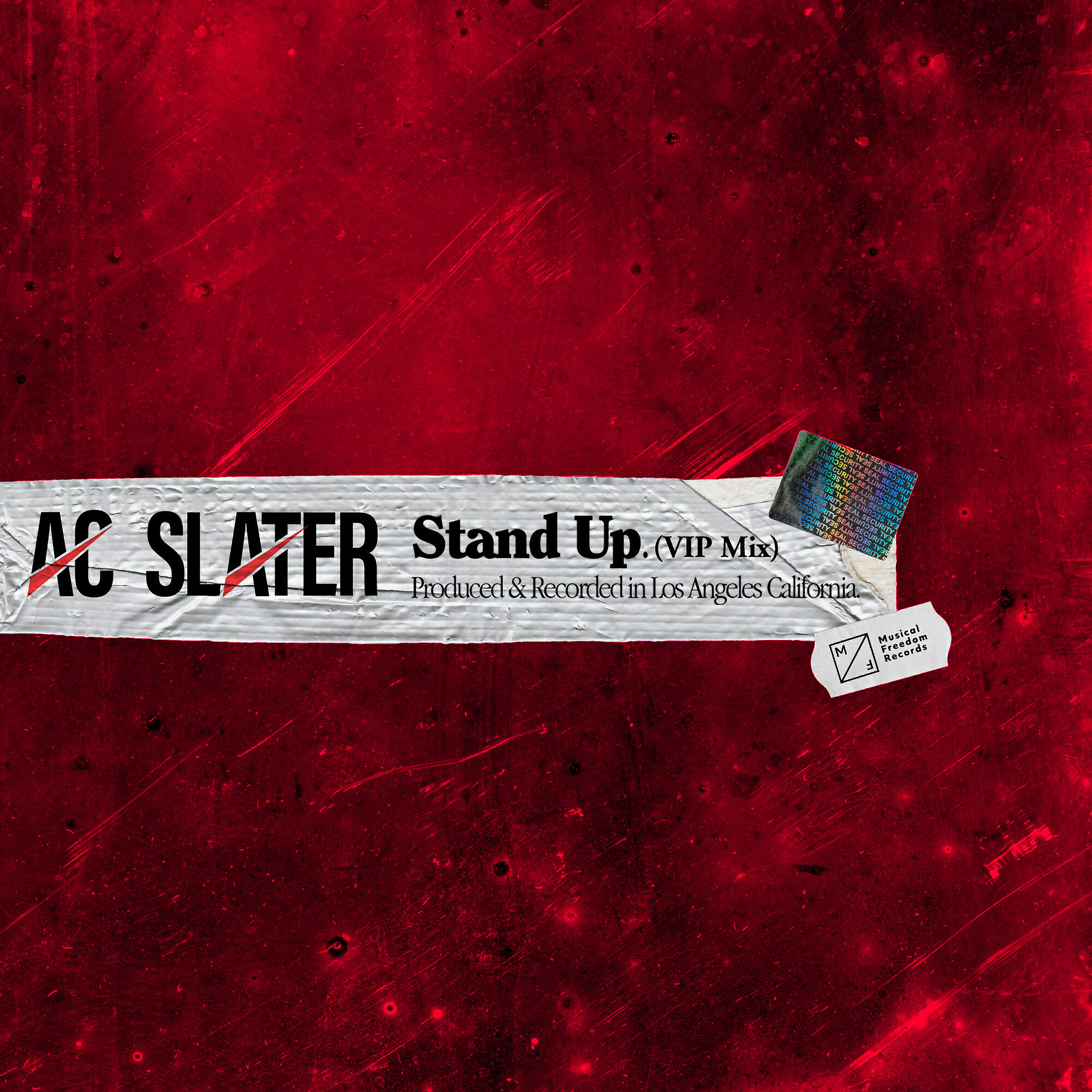 Постер альбома Stand Up (VIP Mix)