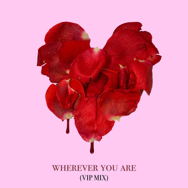 Релиз wherever you are (adam&steve VIP Remix)