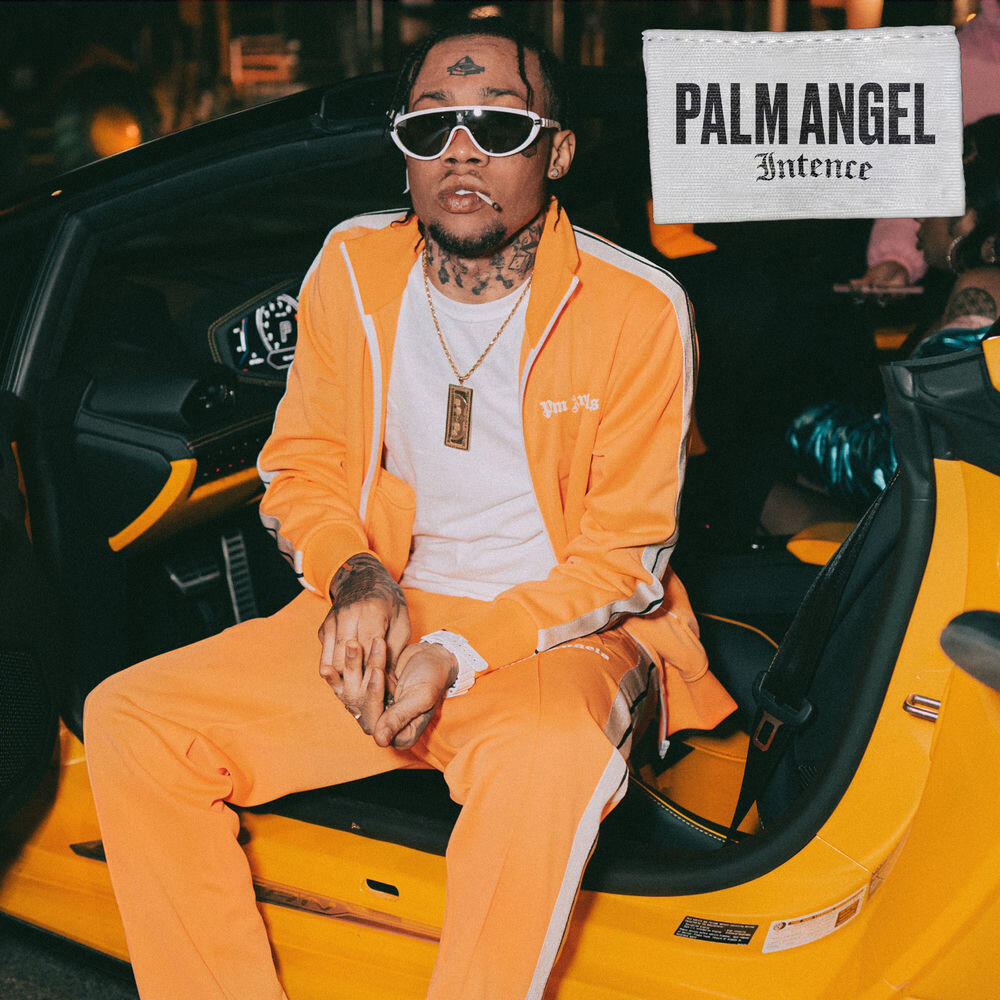 Релиз PALM ANGEL