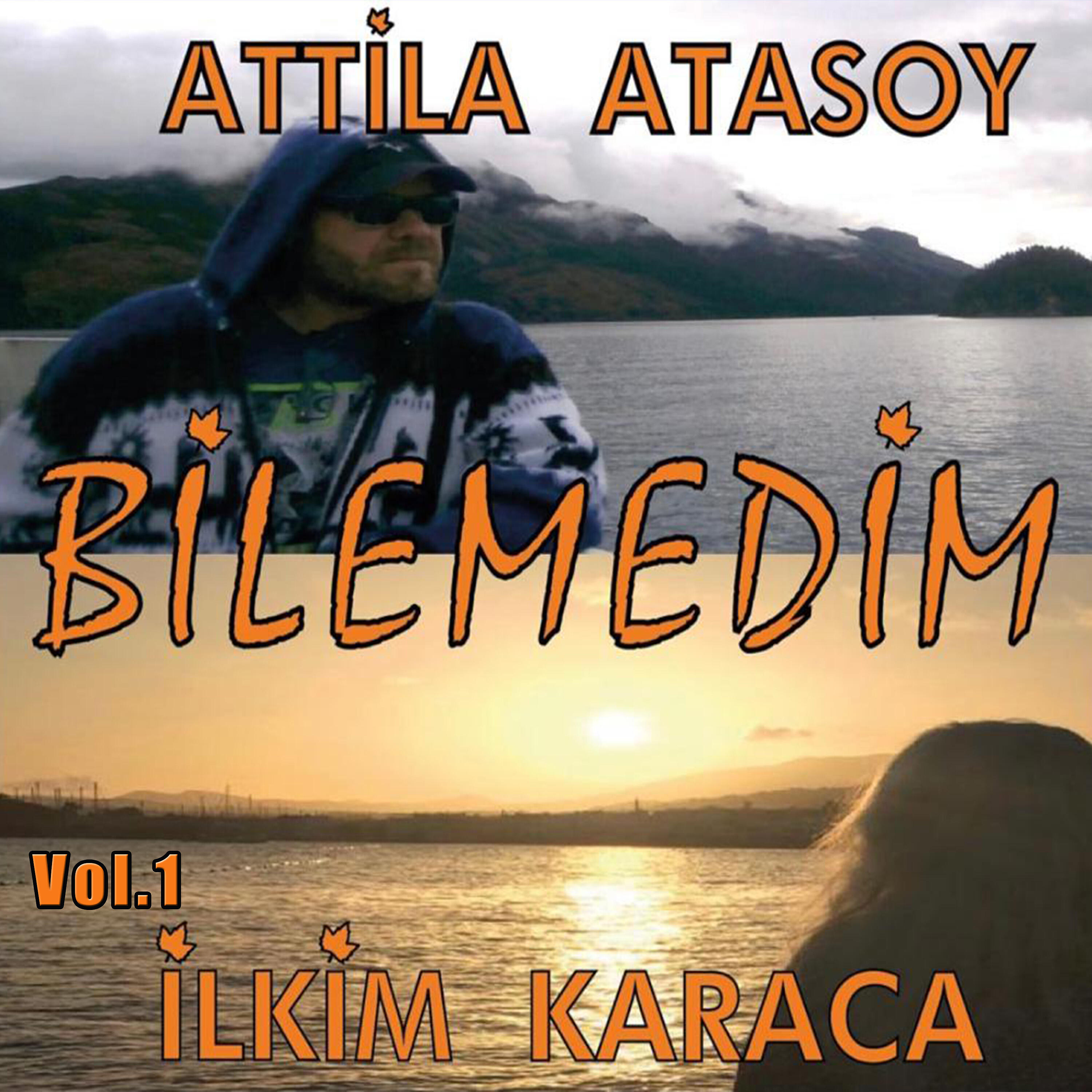 Релиз Bilemedim, Vol.1
