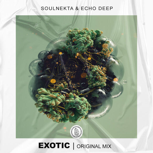 Релиз Exotic