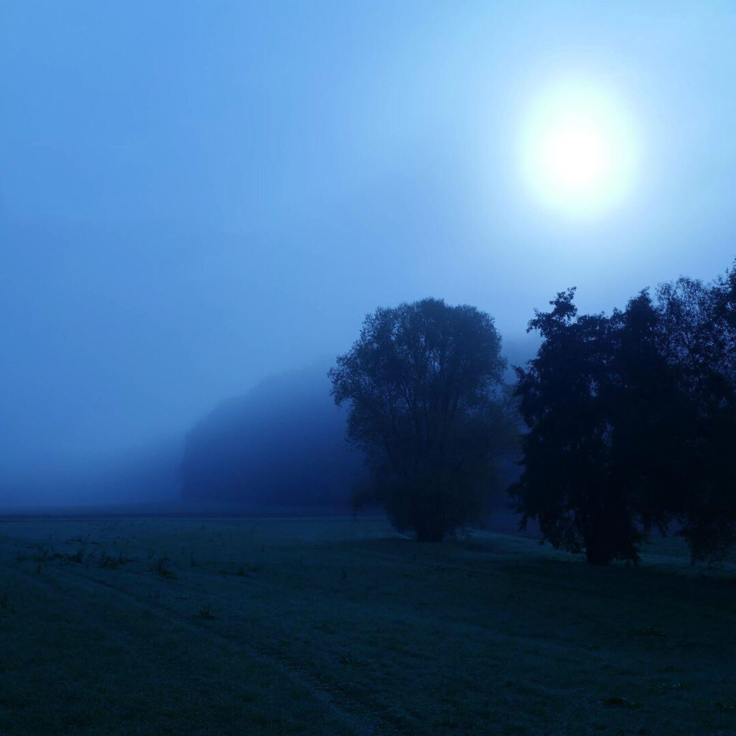 Релиз Night