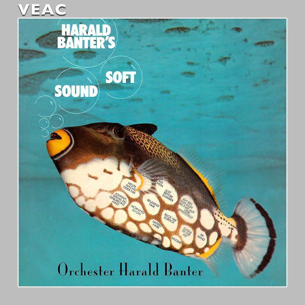Orchester Harald Banter