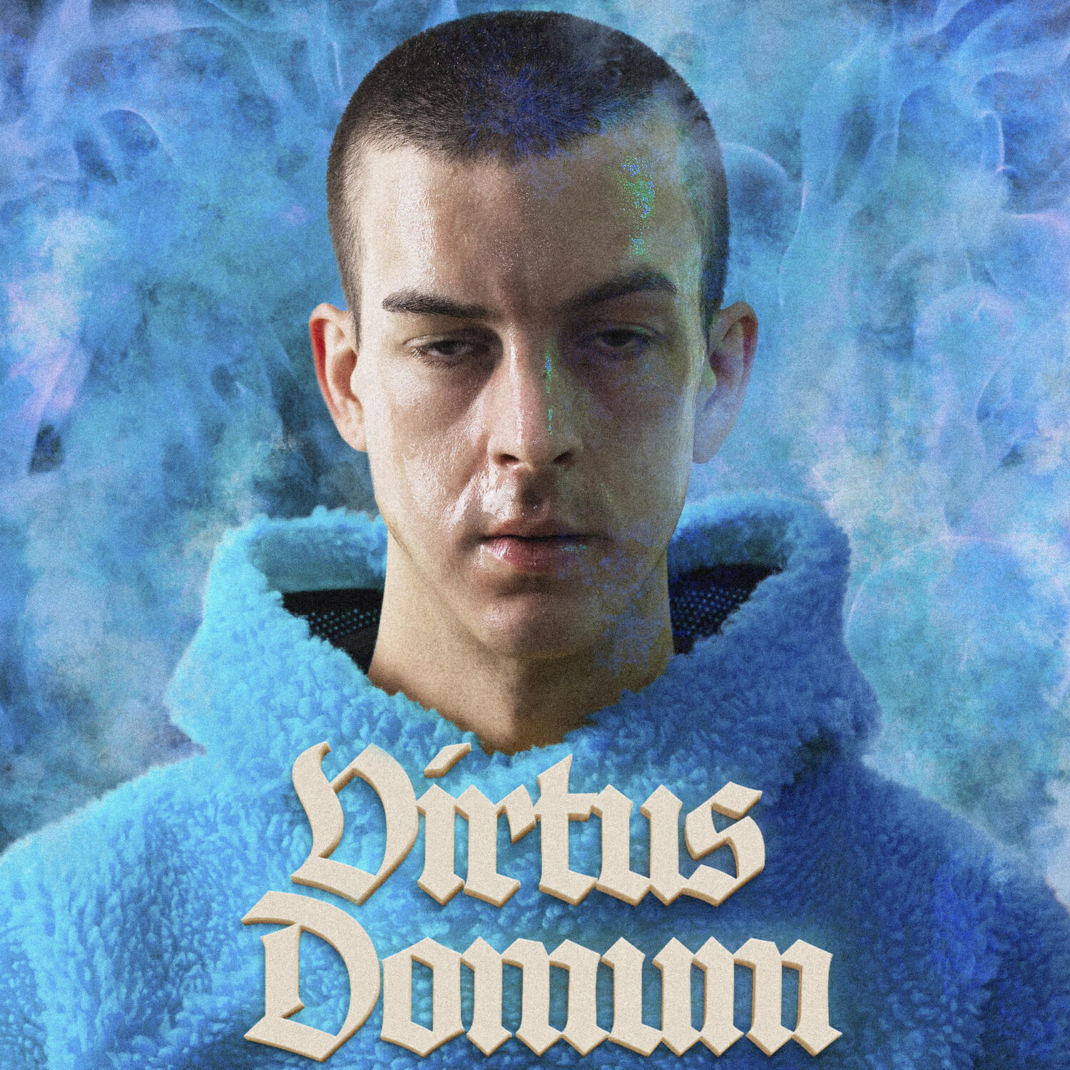 Релиз Virtus Domum