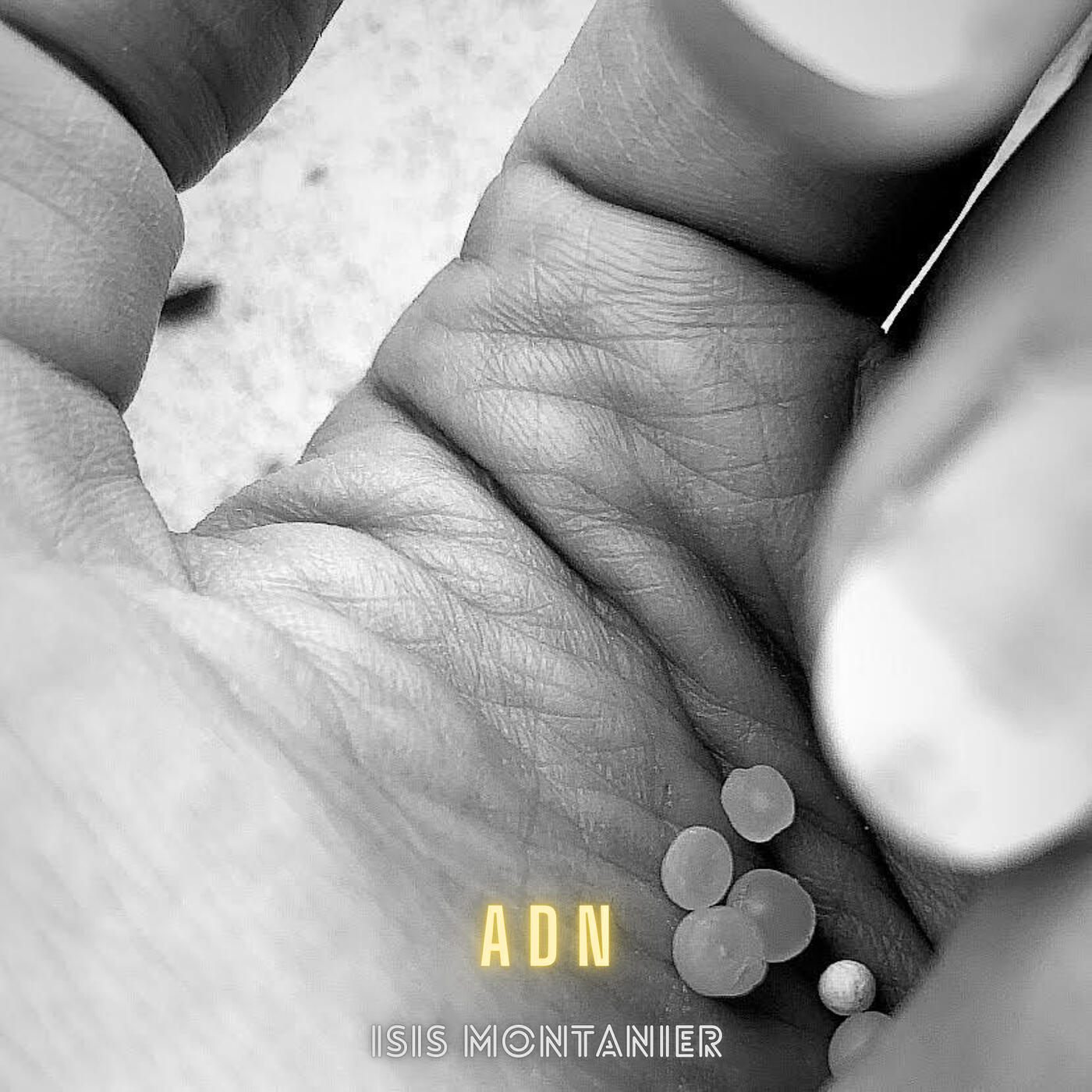 Релиз ADN