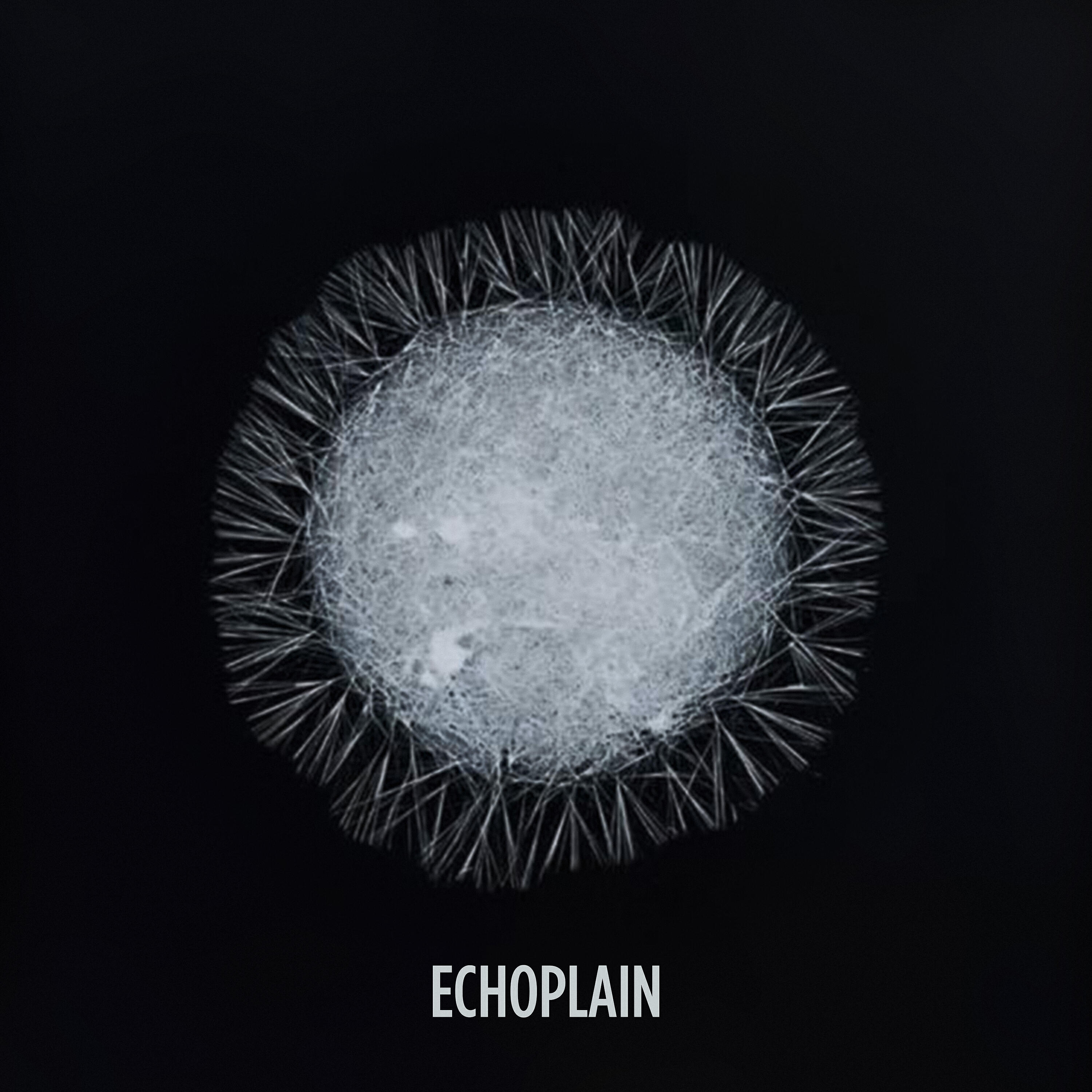 Релиз Echoplain - EP