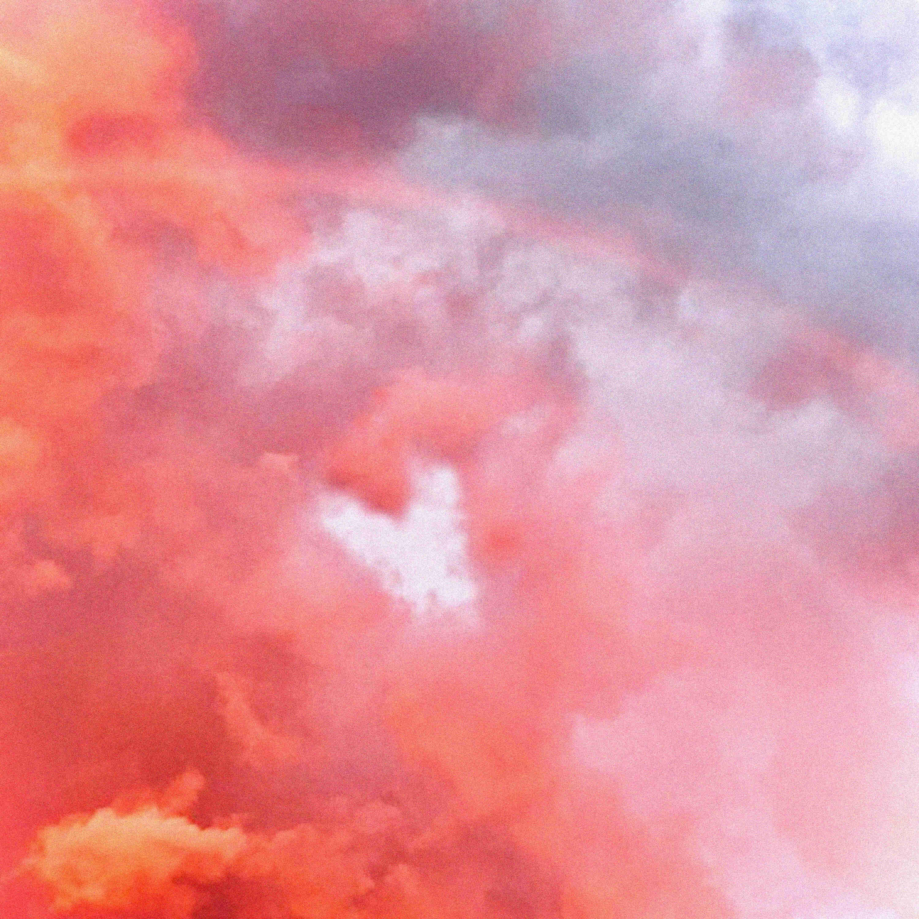 Релиз WOLKE808