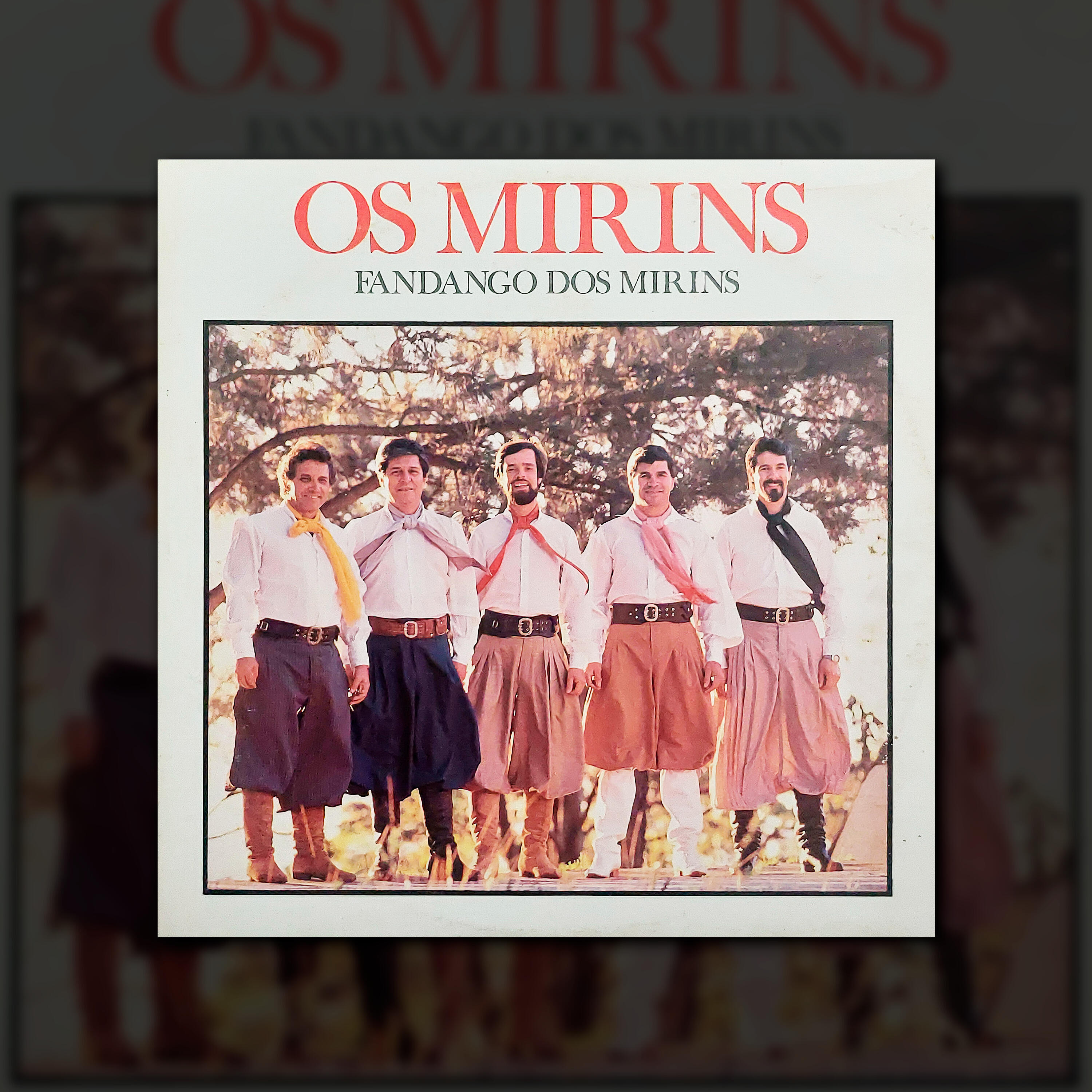 Релиз Fandango dos Mirins