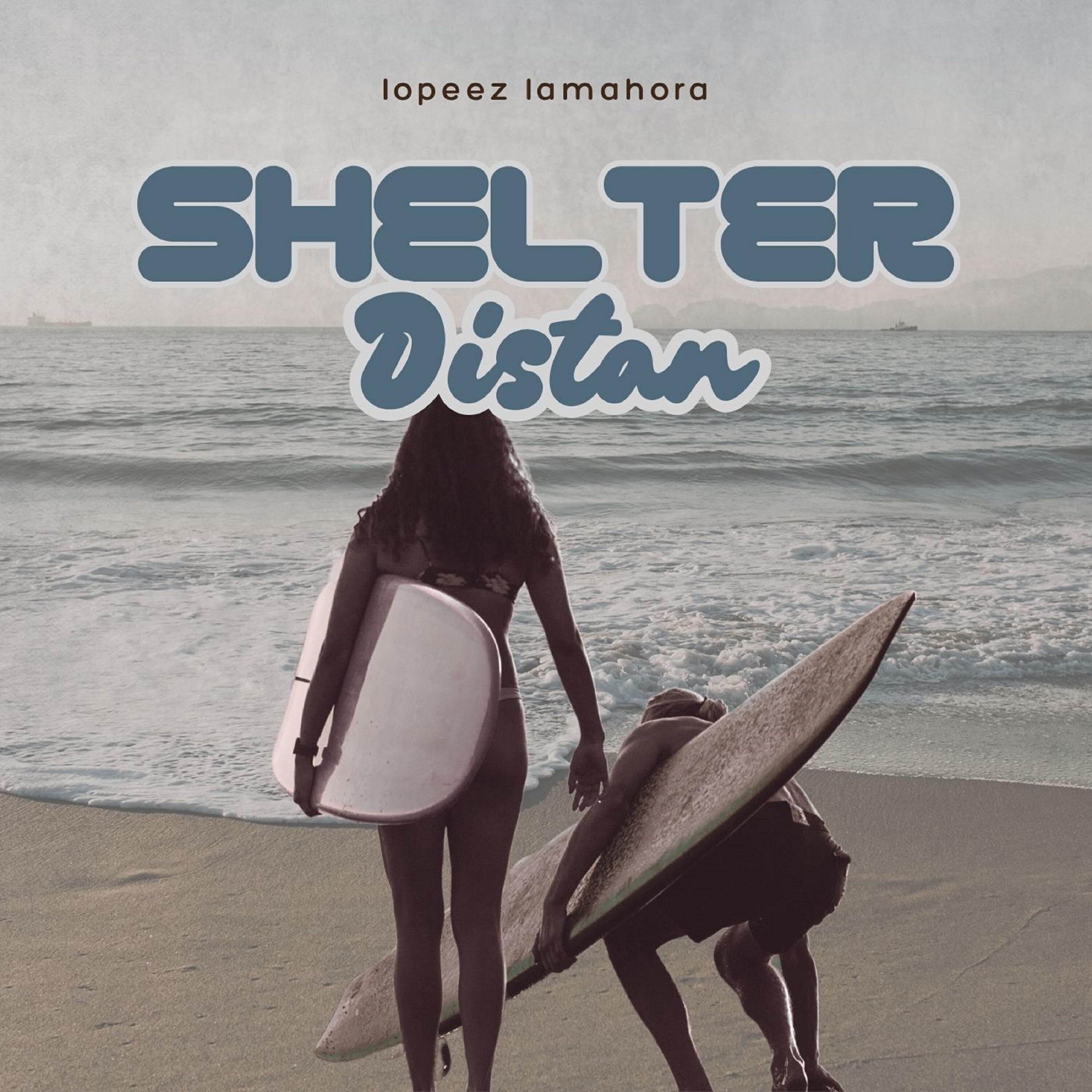 Релиз Distan Shelter