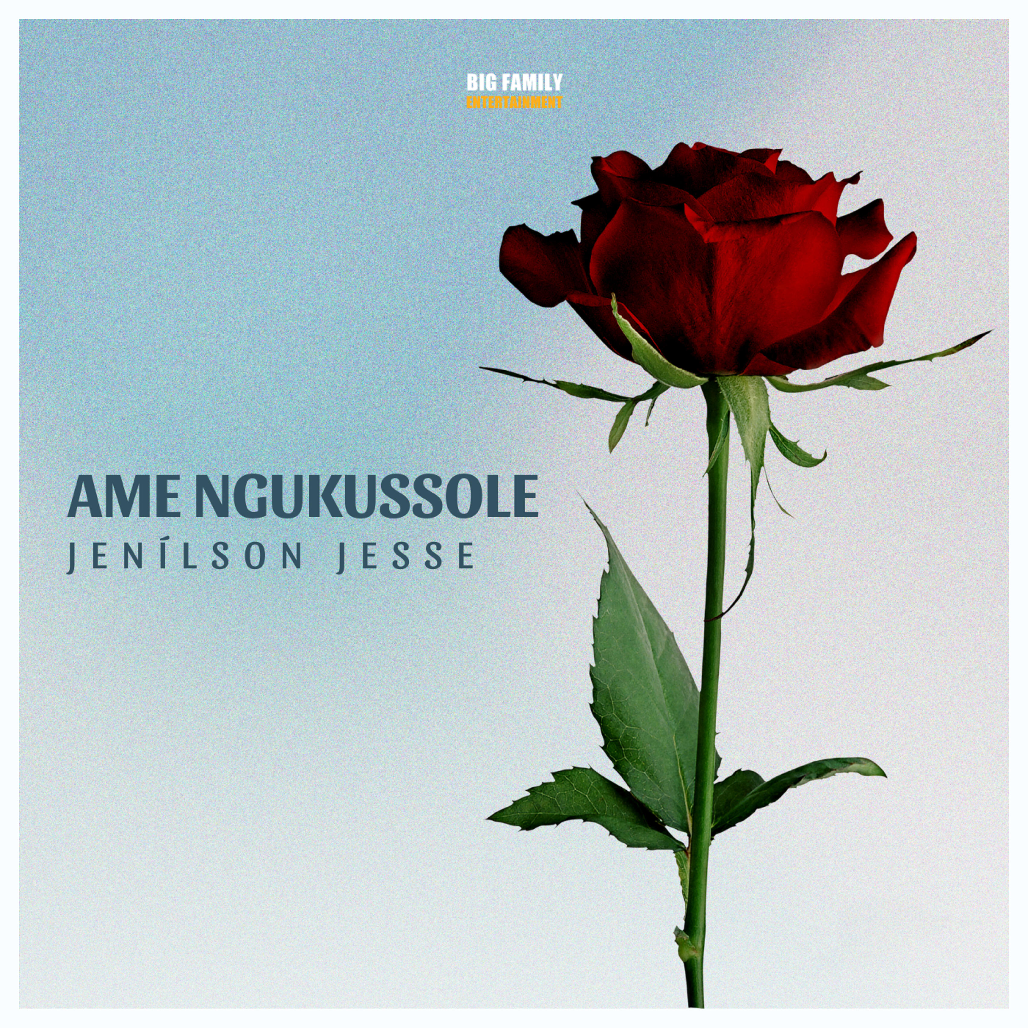 Релиз Ame Ngukussole