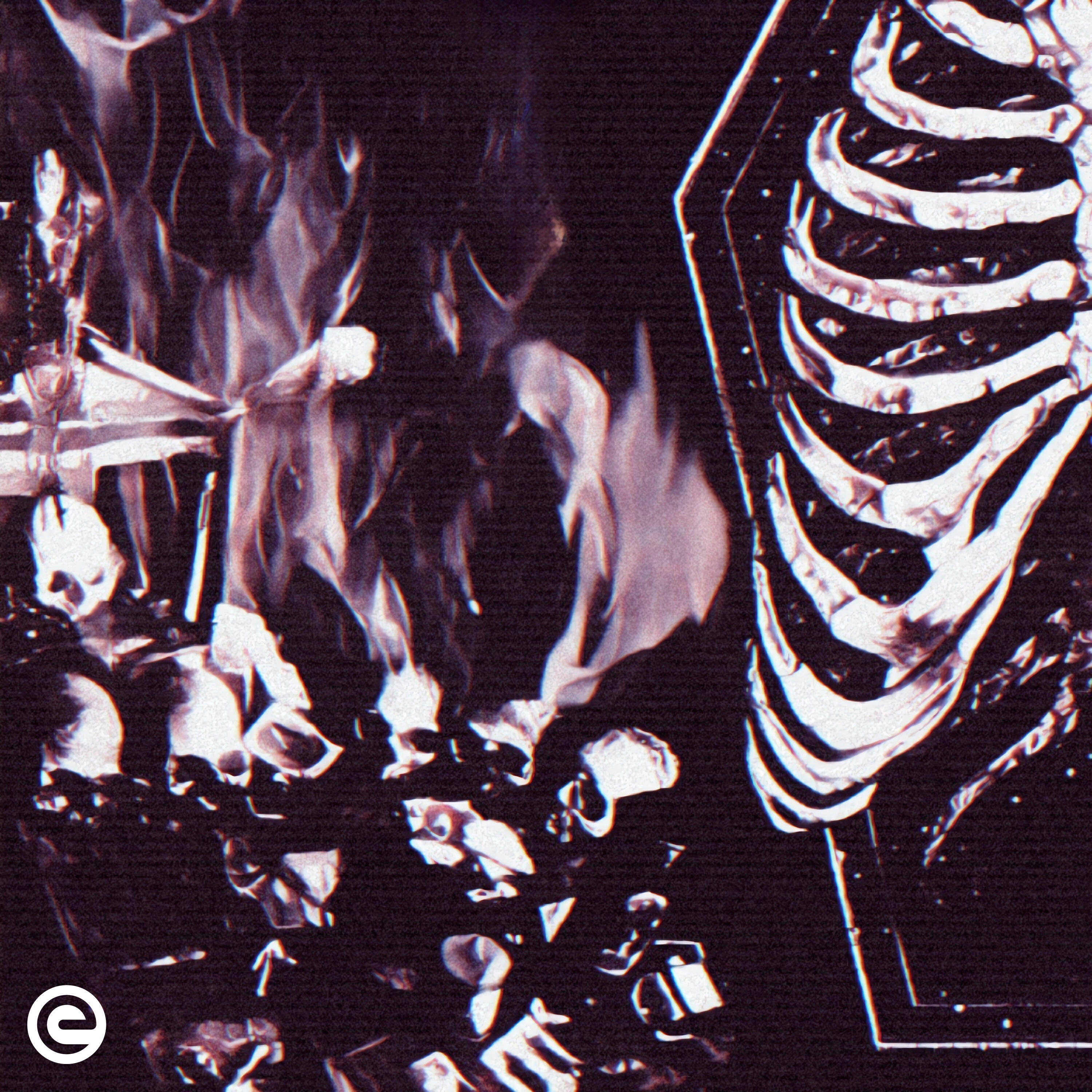 Релиз Phonkholic