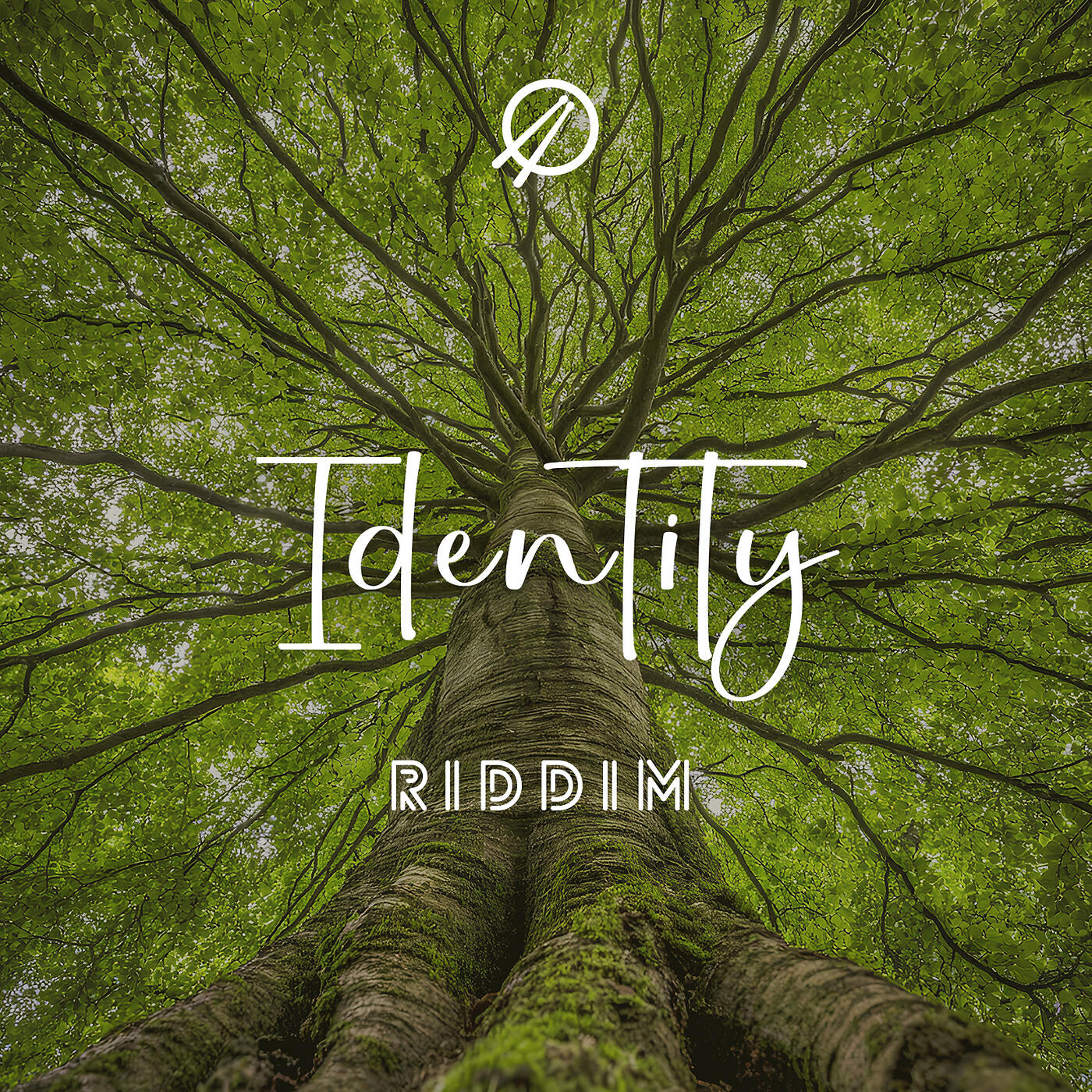 Релиз Identity Riddim