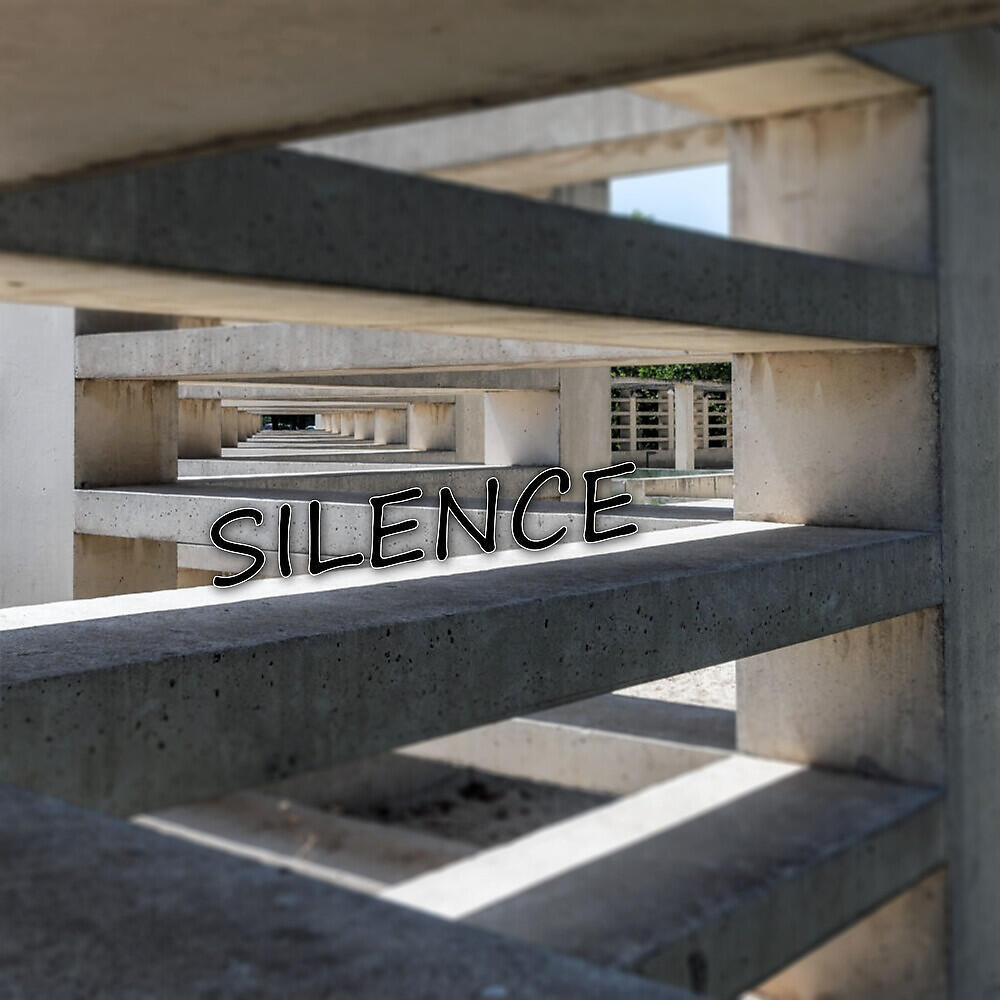 Релиз Silence