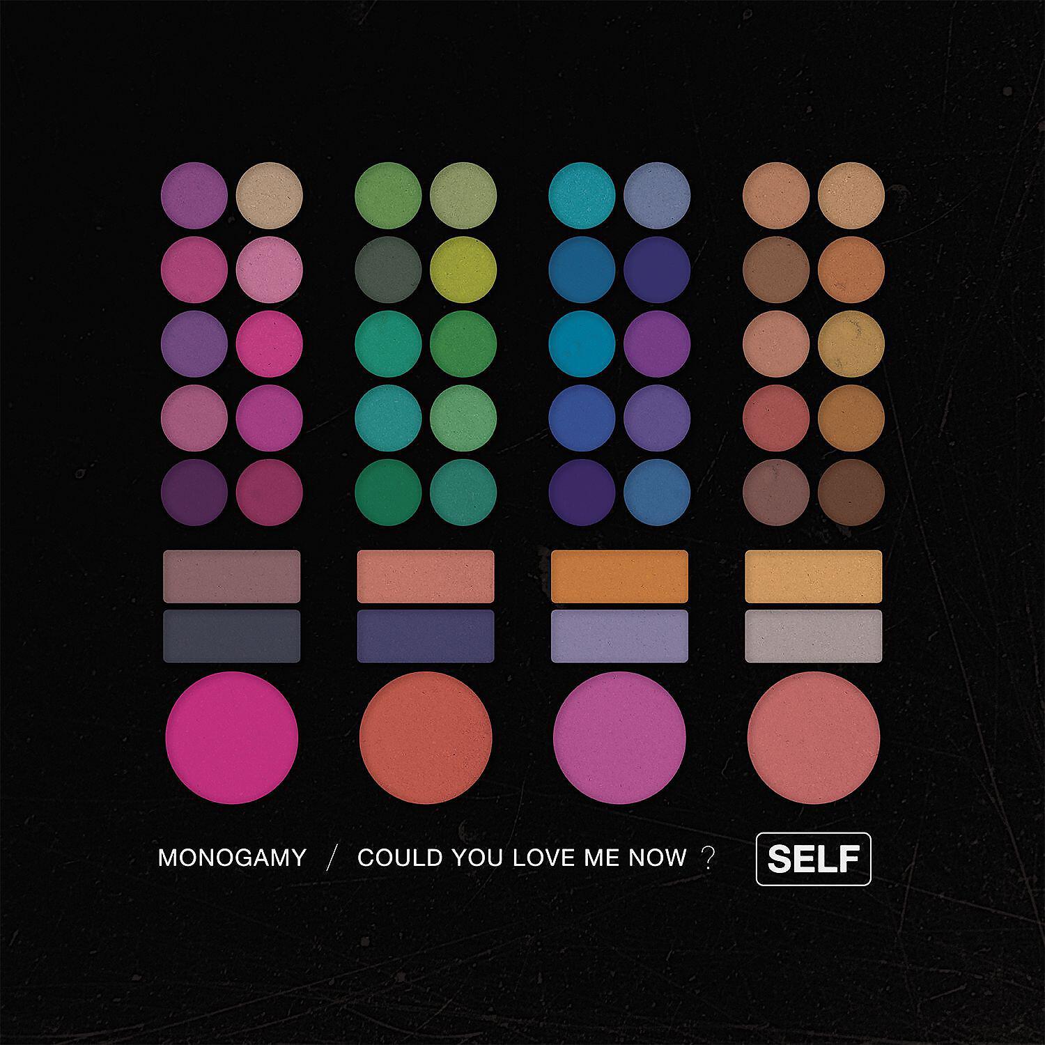 Постер альбома Monogamy/Could You Love Me Now?