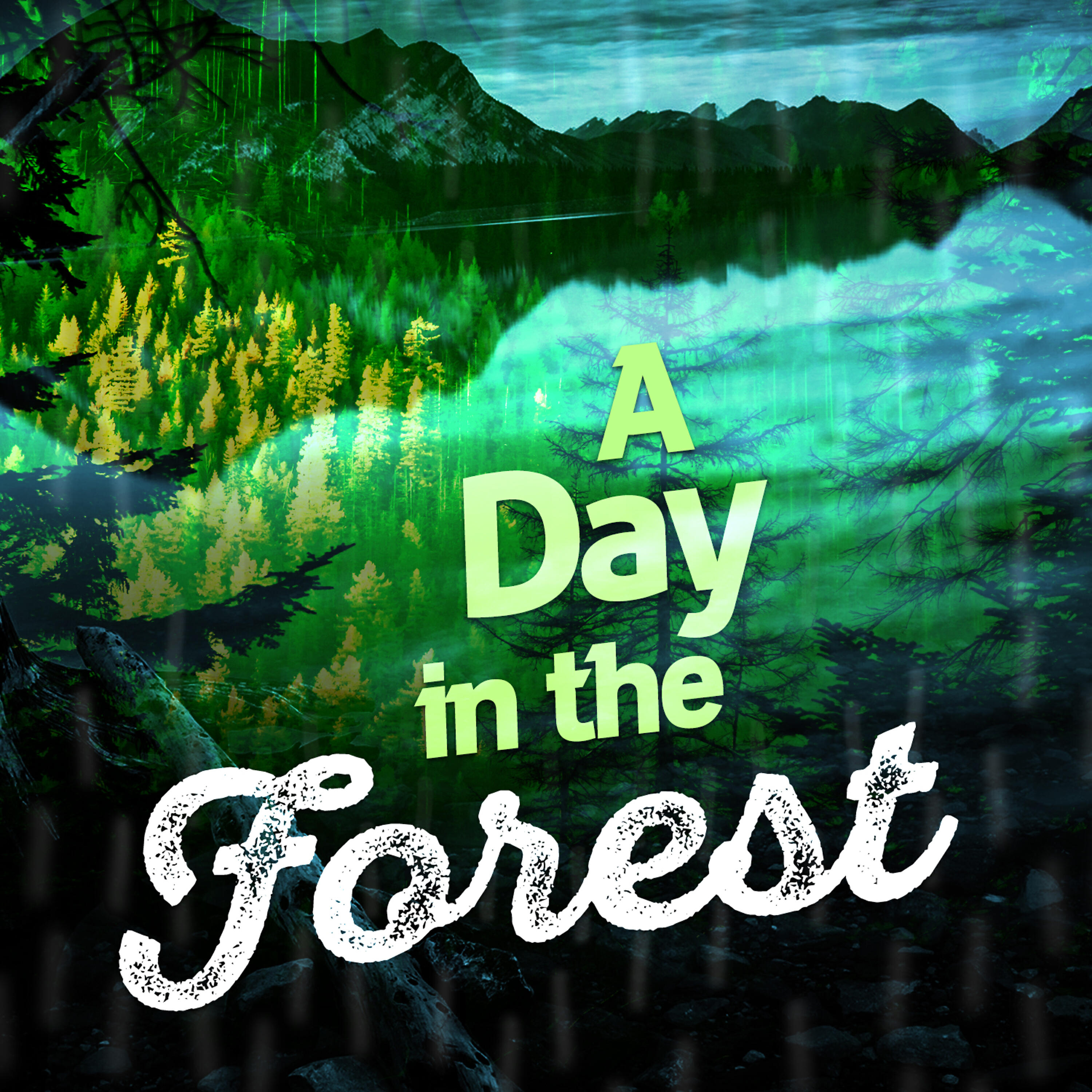 Релиз A Day in the Forest