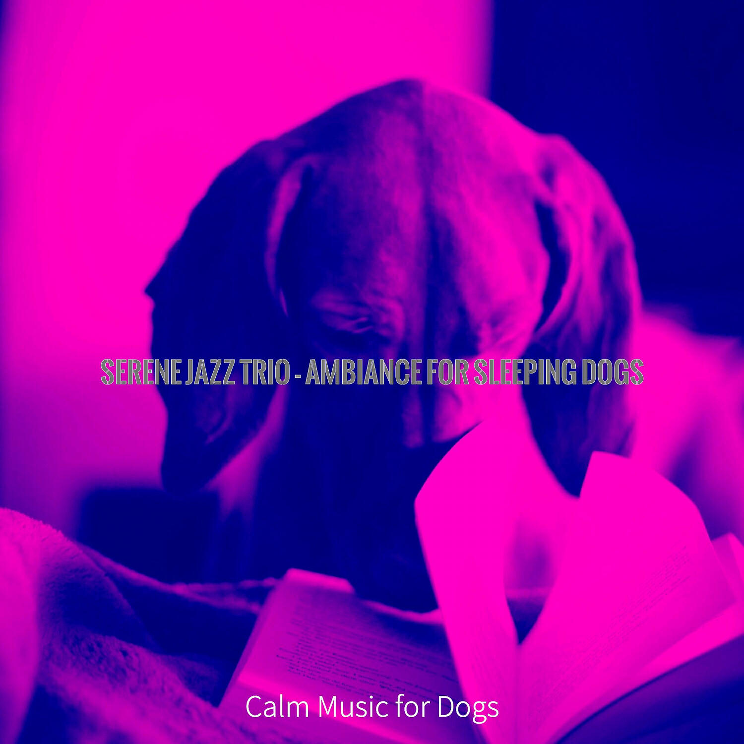 Релиз Serene Jazz Trio - Ambiance for Sleeping Dogs