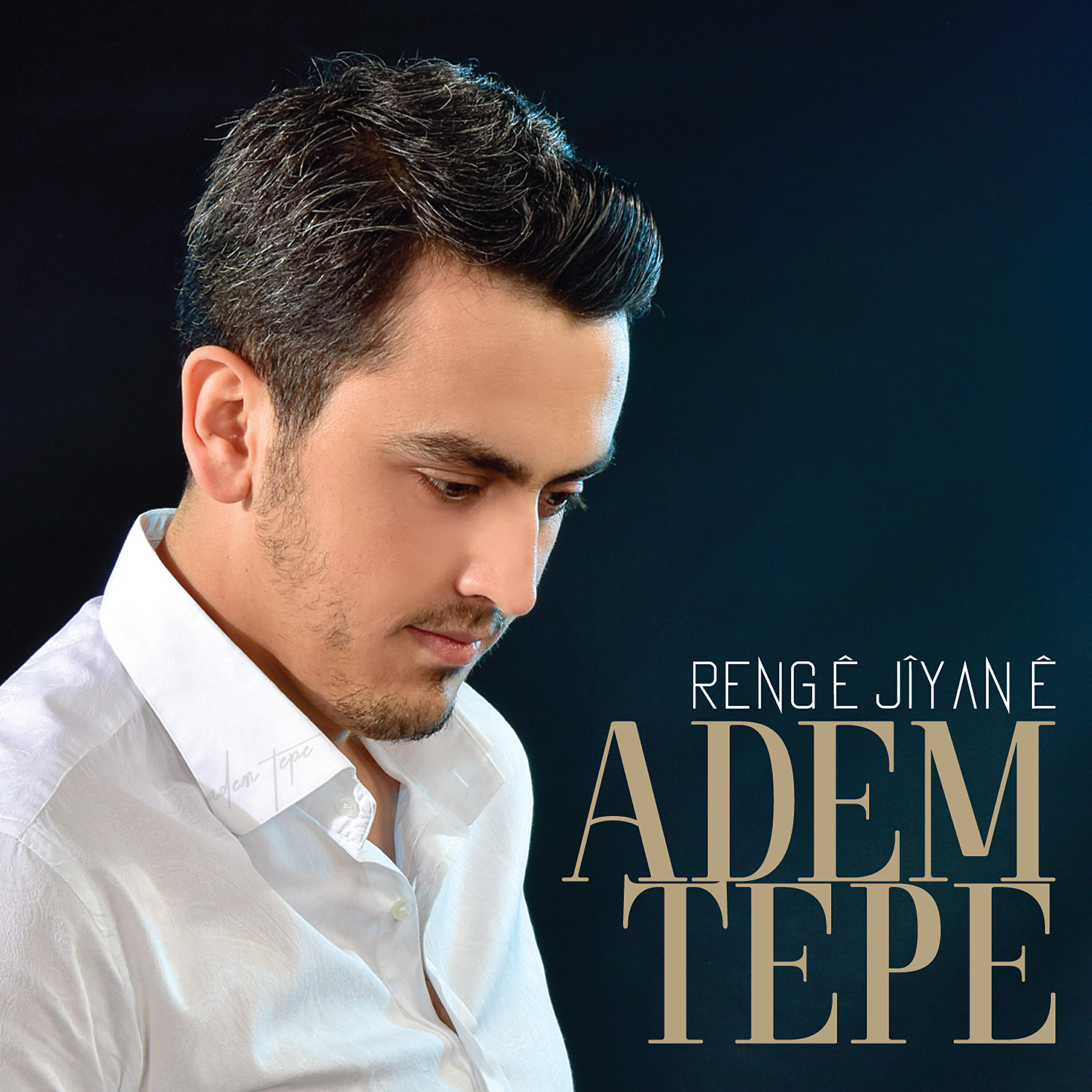 Релиз Rengê Jîyanê