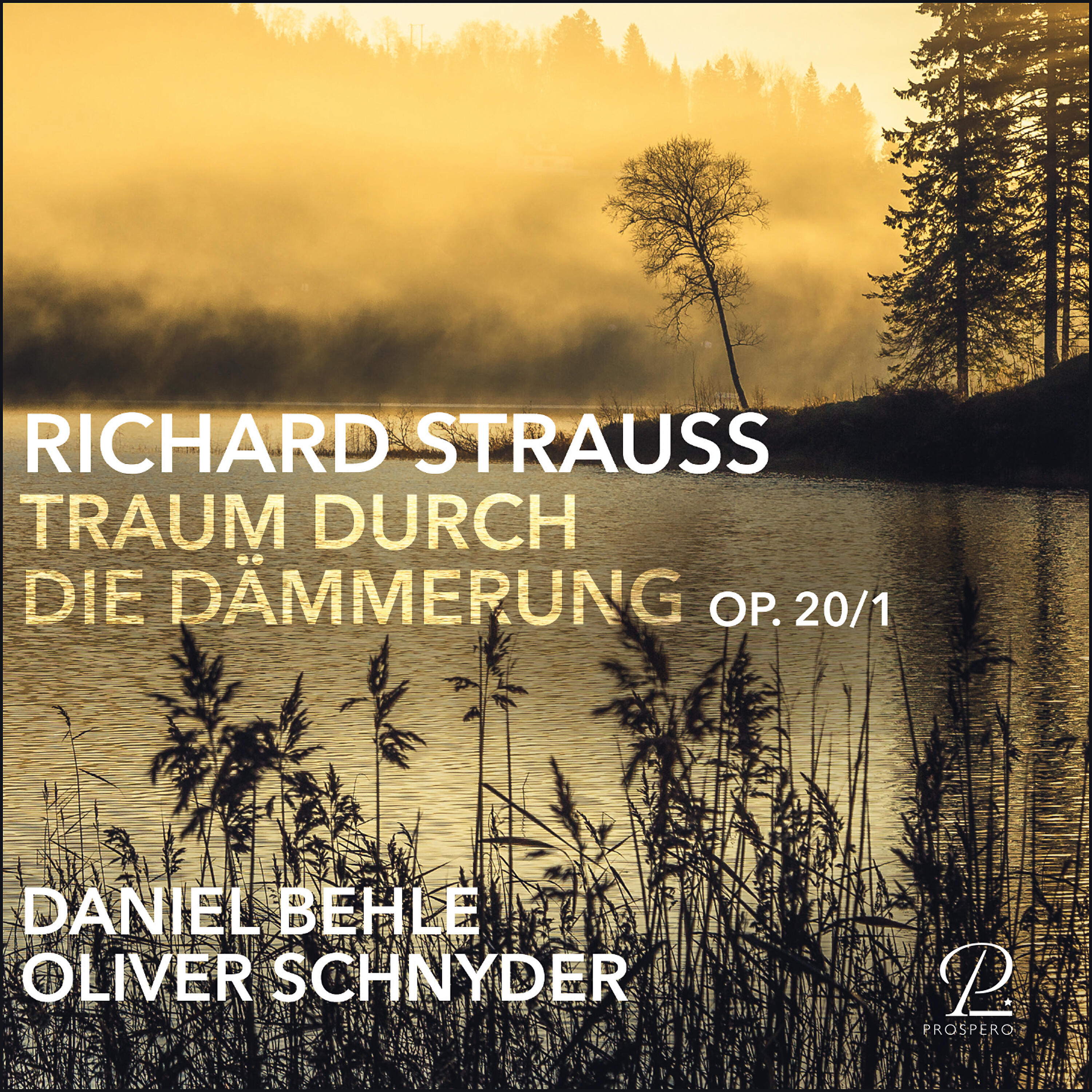 Релиз Traum durch die Dämmerung, Op. 29, No. 1