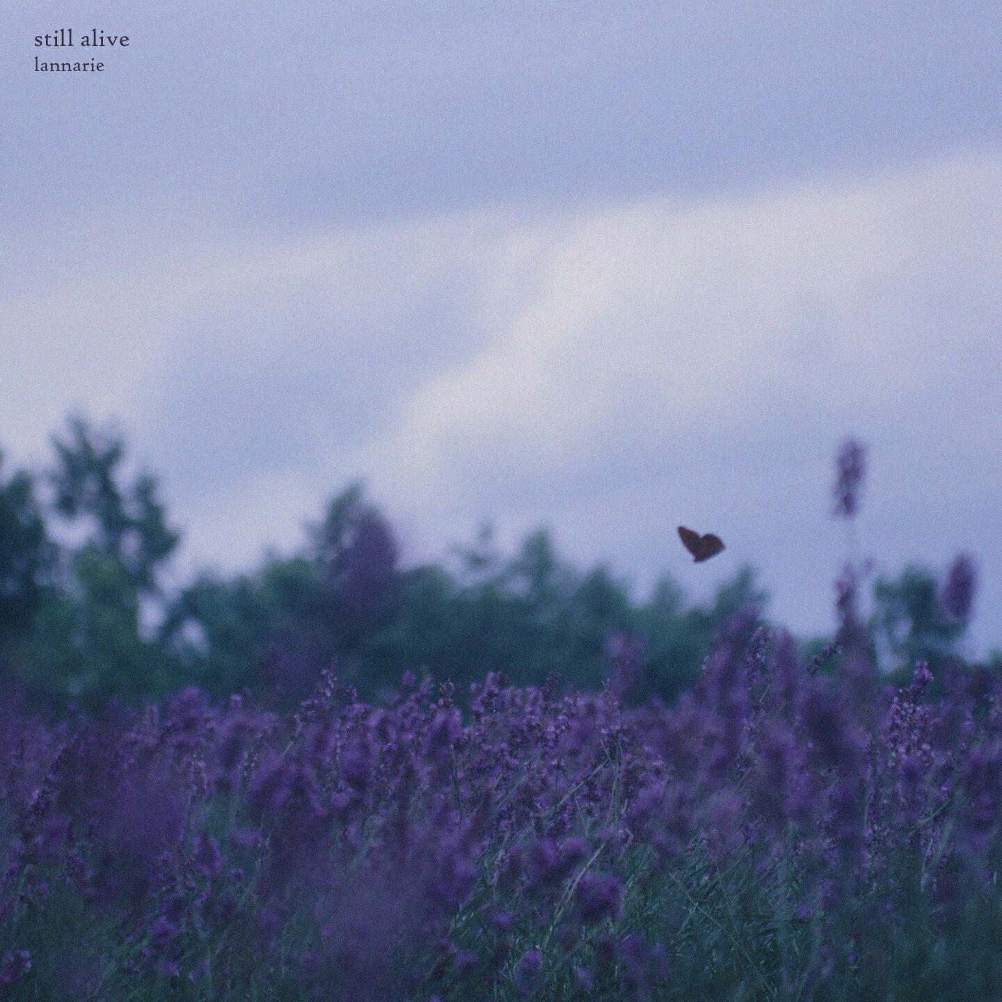 Релиз still alive