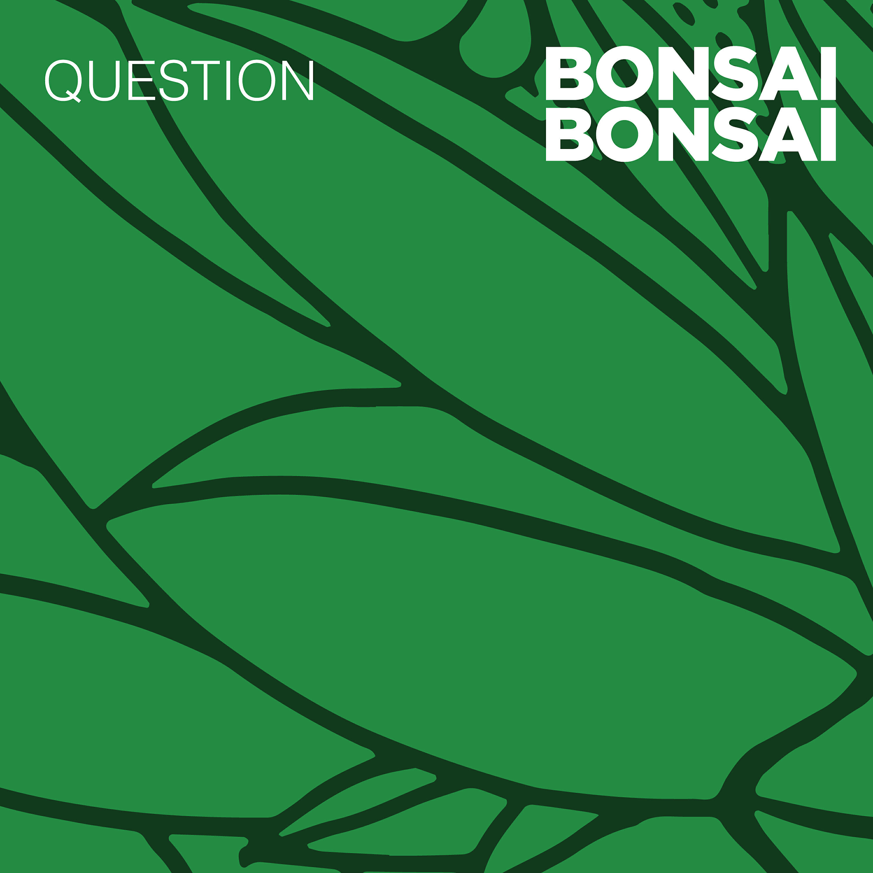 Релиз Question