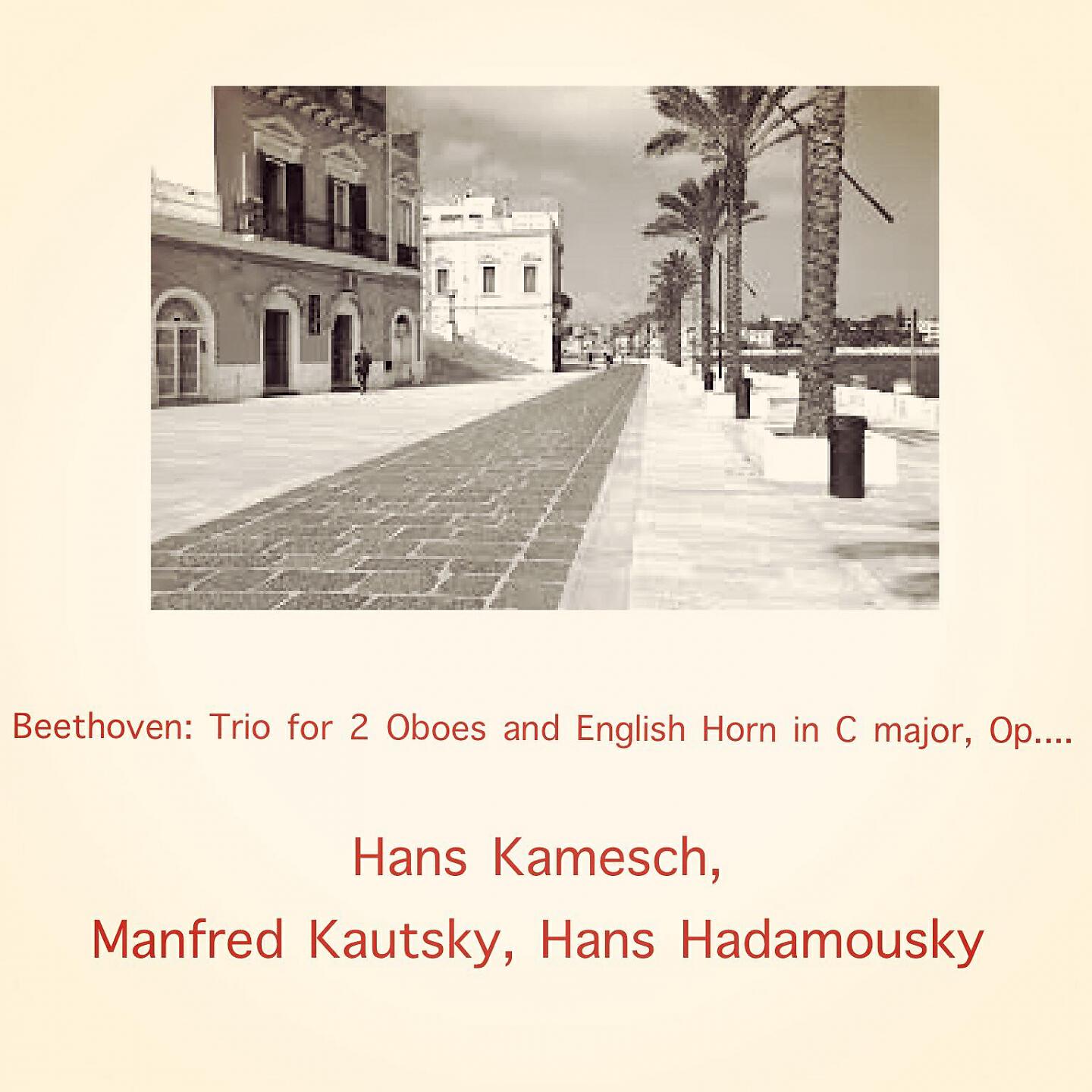 Релиз Beethoven: Trio for 2 Oboes and English Horn in C major, Op. 87